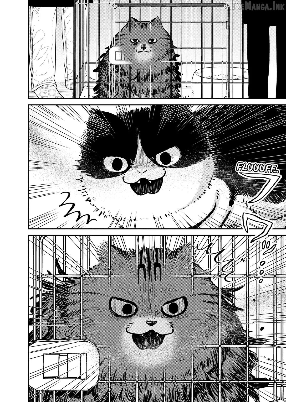 Cat Partners: Maruru And Hachi Chapter 44 page 2 - 