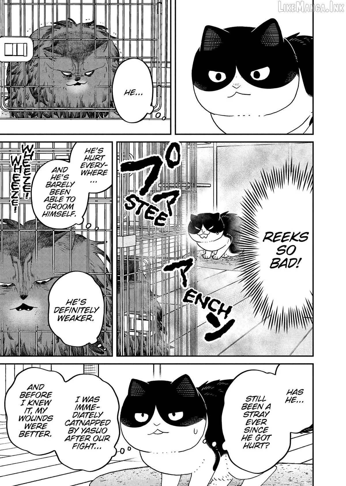 Cat Partners: Maruru And Hachi Chapter 44 page 5 - 
