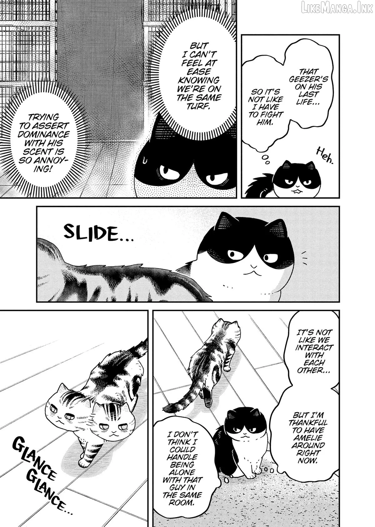 Cat Partners: Maruru And Hachi Chapter 44 page 7 - 