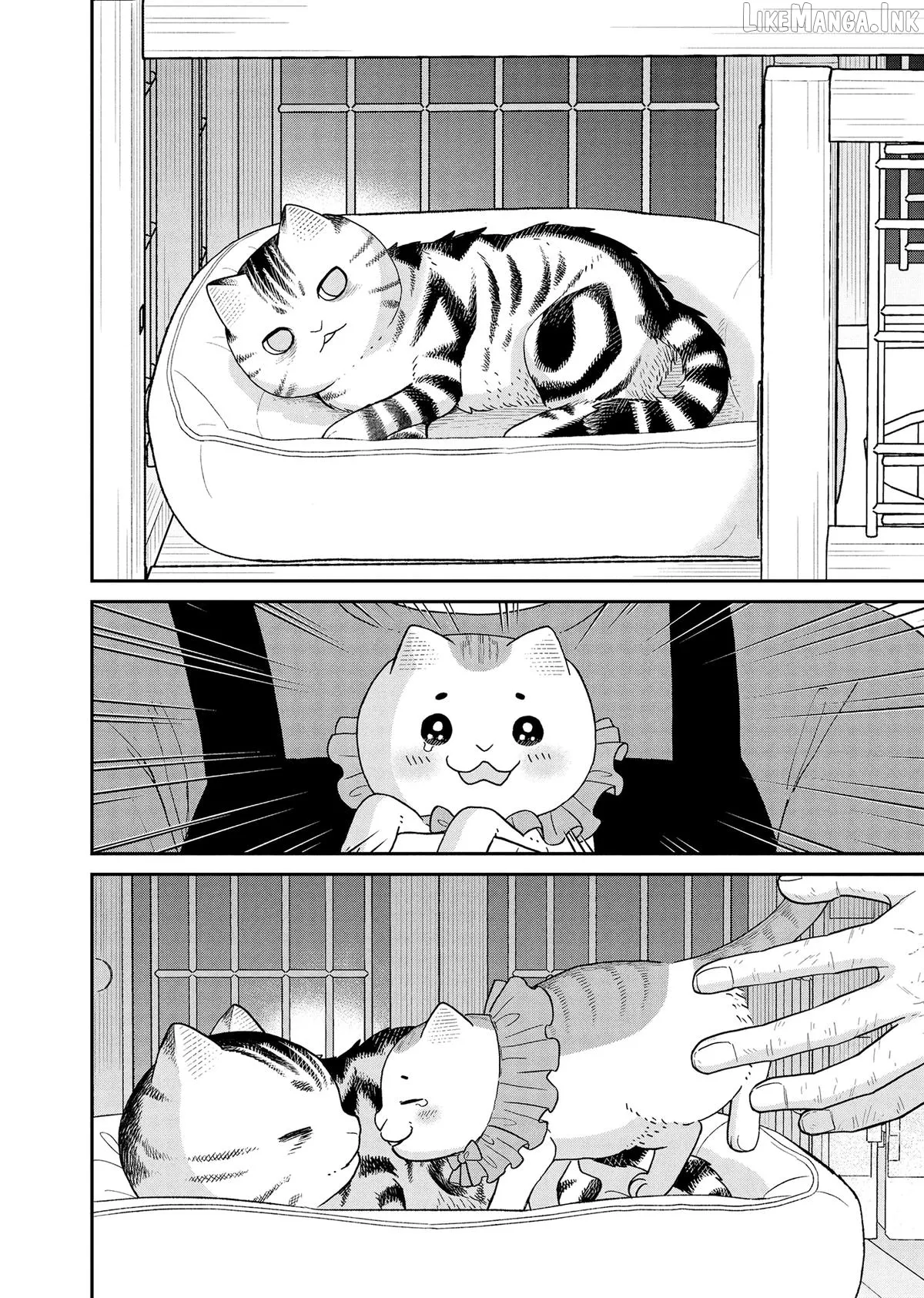 Cat Partners: Maruru And Hachi Chapter 44 page 10 - 