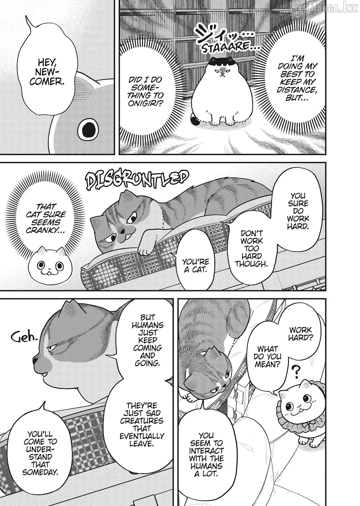 Cat Partners: Maruru And Hachi Chapter 45 page 3 - 