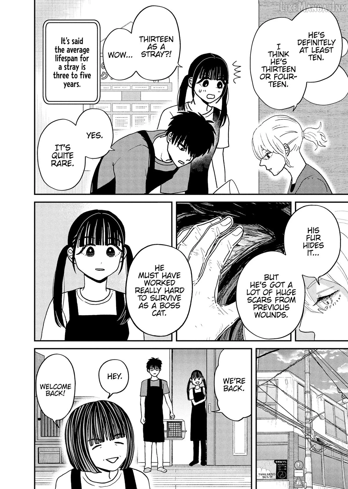 Cat Partners: Maruru And Hachi Chapter 46 page 2 - 