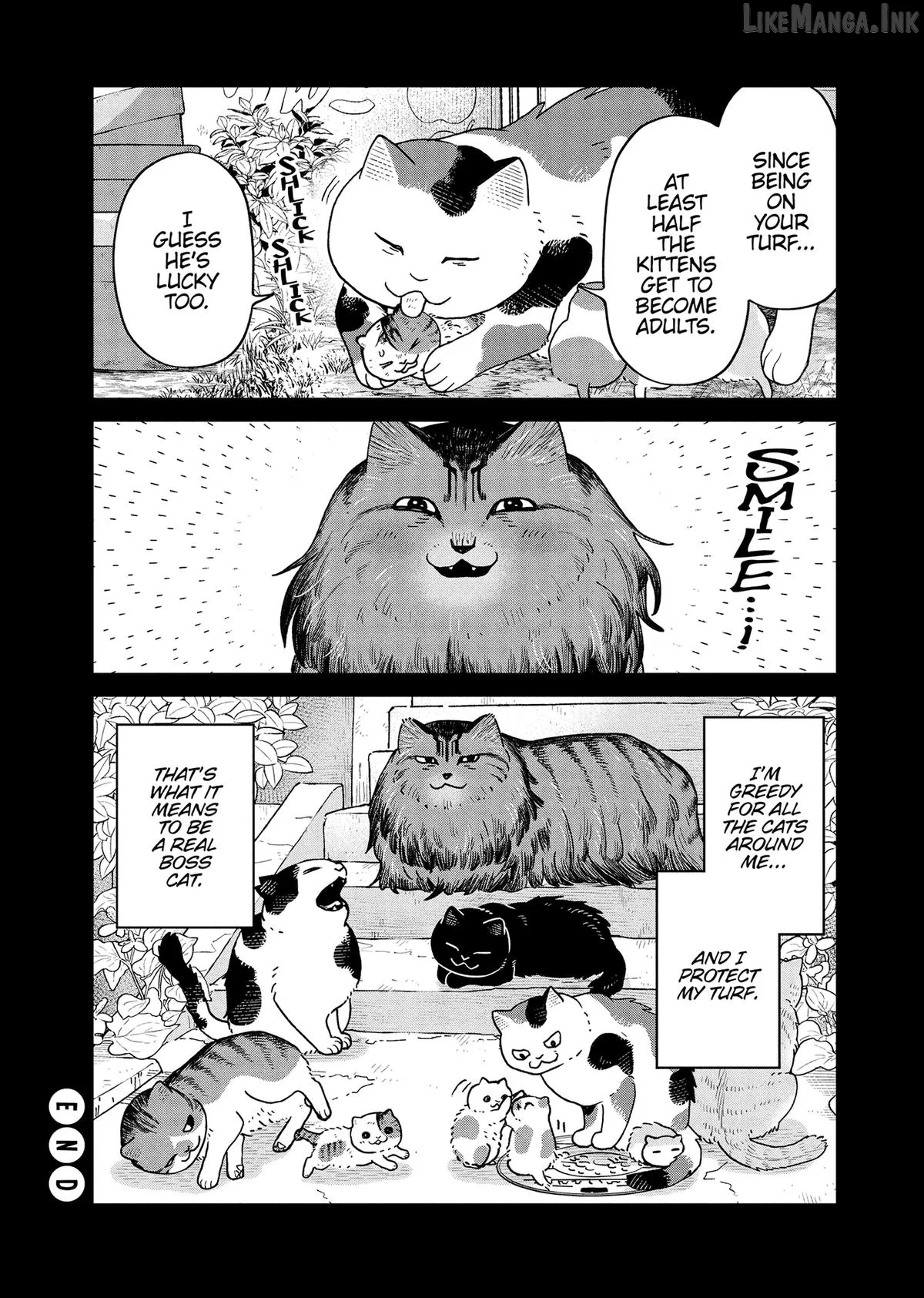 Cat Partners: Maruru And Hachi Chapter 46 page 12 - 