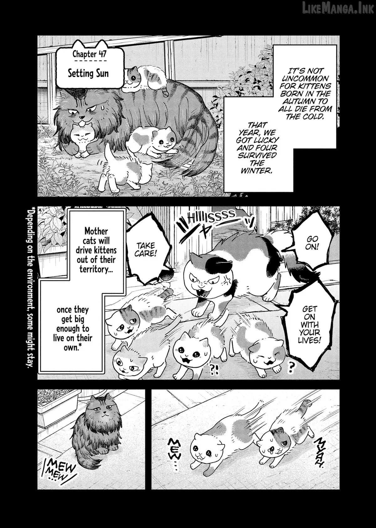 Cat Partners: Maruru And Hachi Chapter 46 page 13 - 