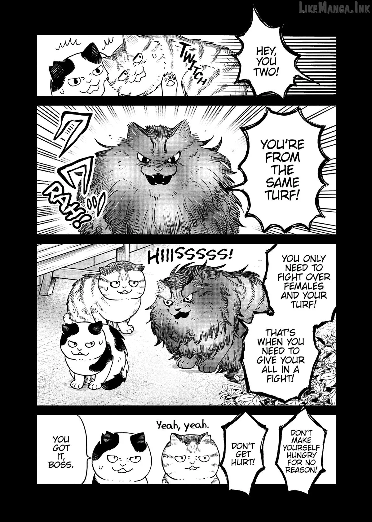 Cat Partners: Maruru And Hachi Chapter 46 page 15 - 