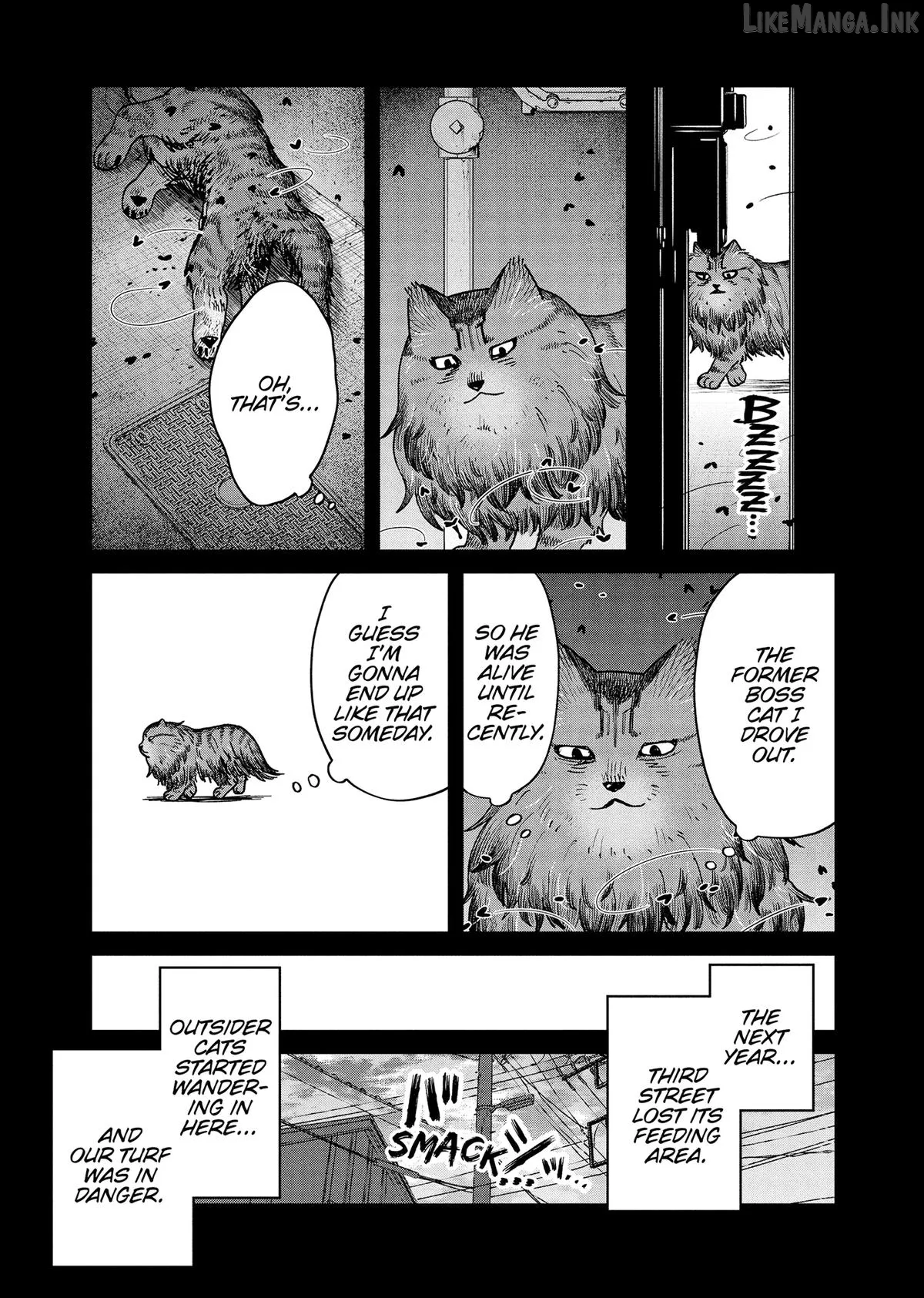 Cat Partners: Maruru And Hachi Chapter 46 page 17 - 