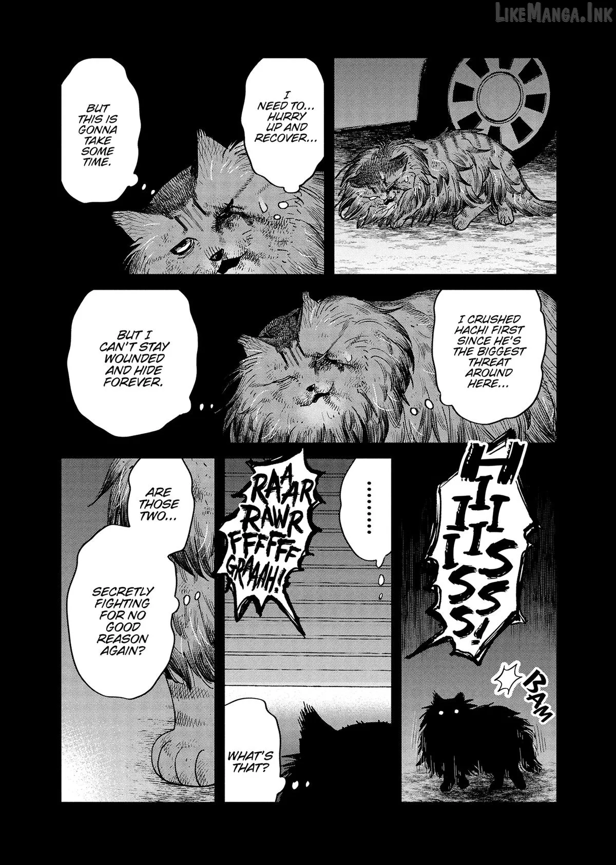 Cat Partners: Maruru And Hachi Chapter 46 page 19 - 