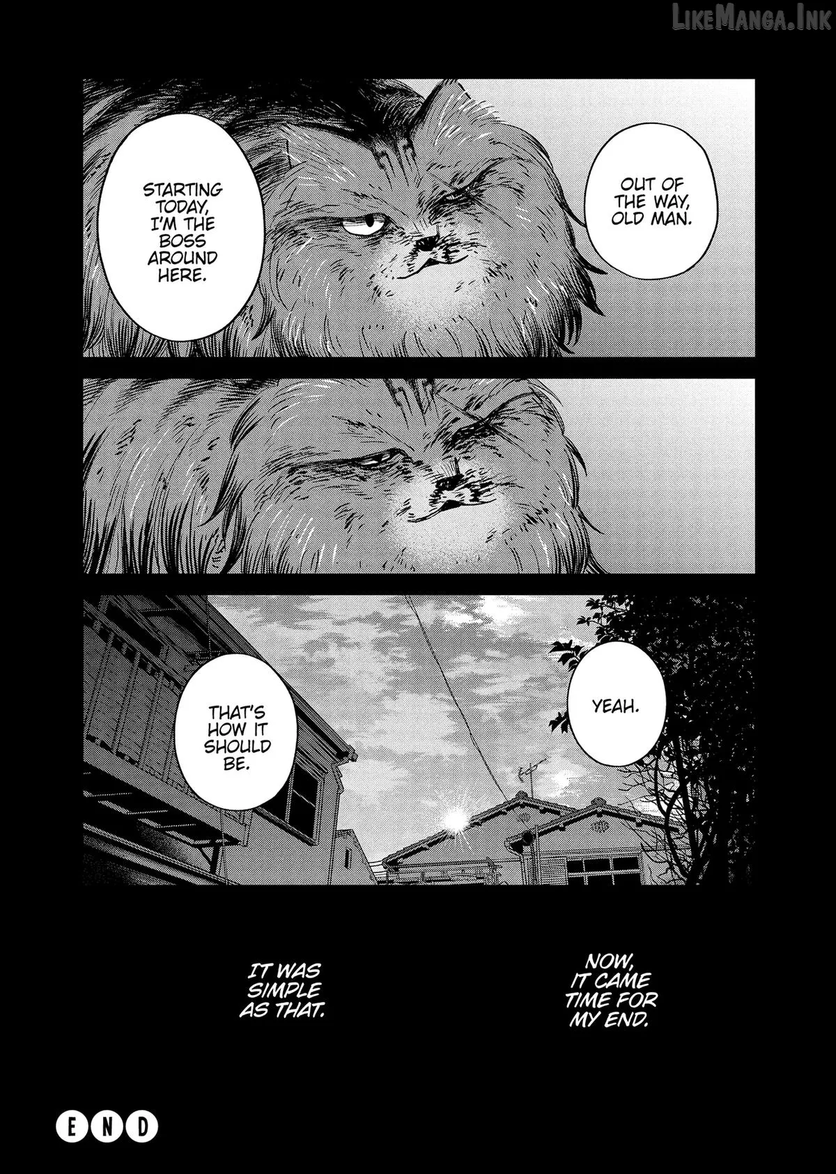 Cat Partners: Maruru And Hachi Chapter 46 page 25 - 