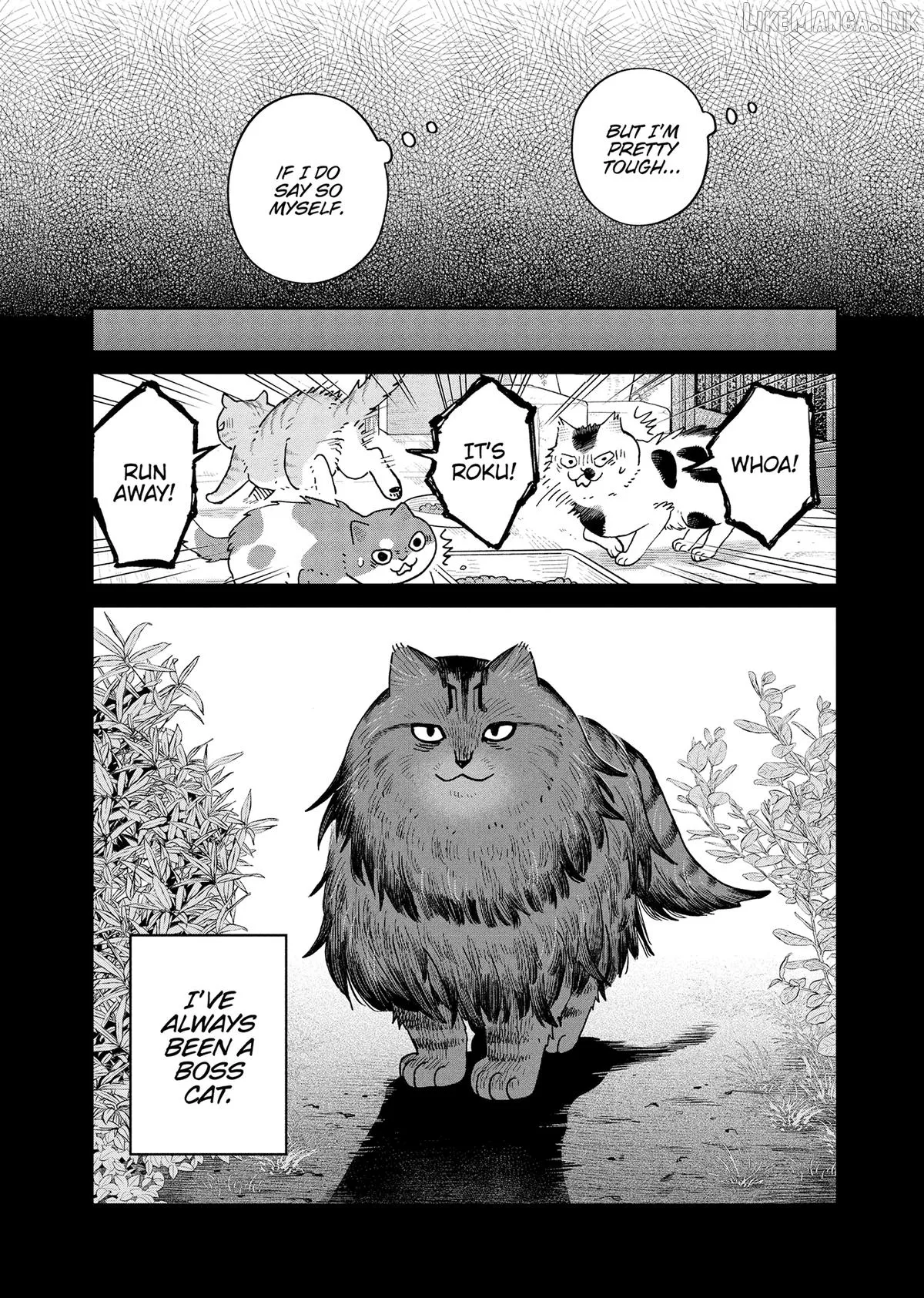 Cat Partners: Maruru And Hachi Chapter 46 page 6 - 