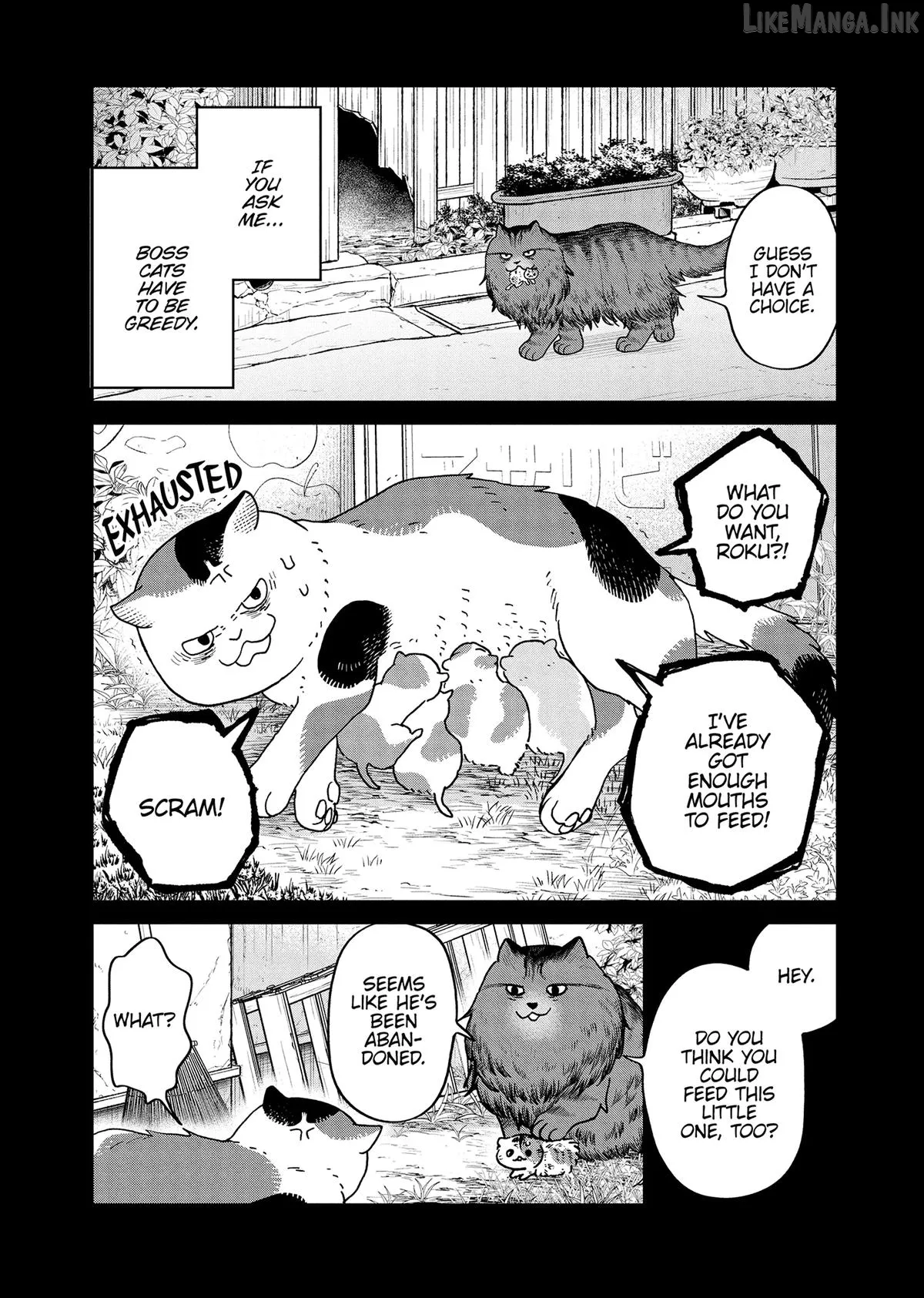 Cat Partners: Maruru And Hachi Chapter 46 page 10 - 