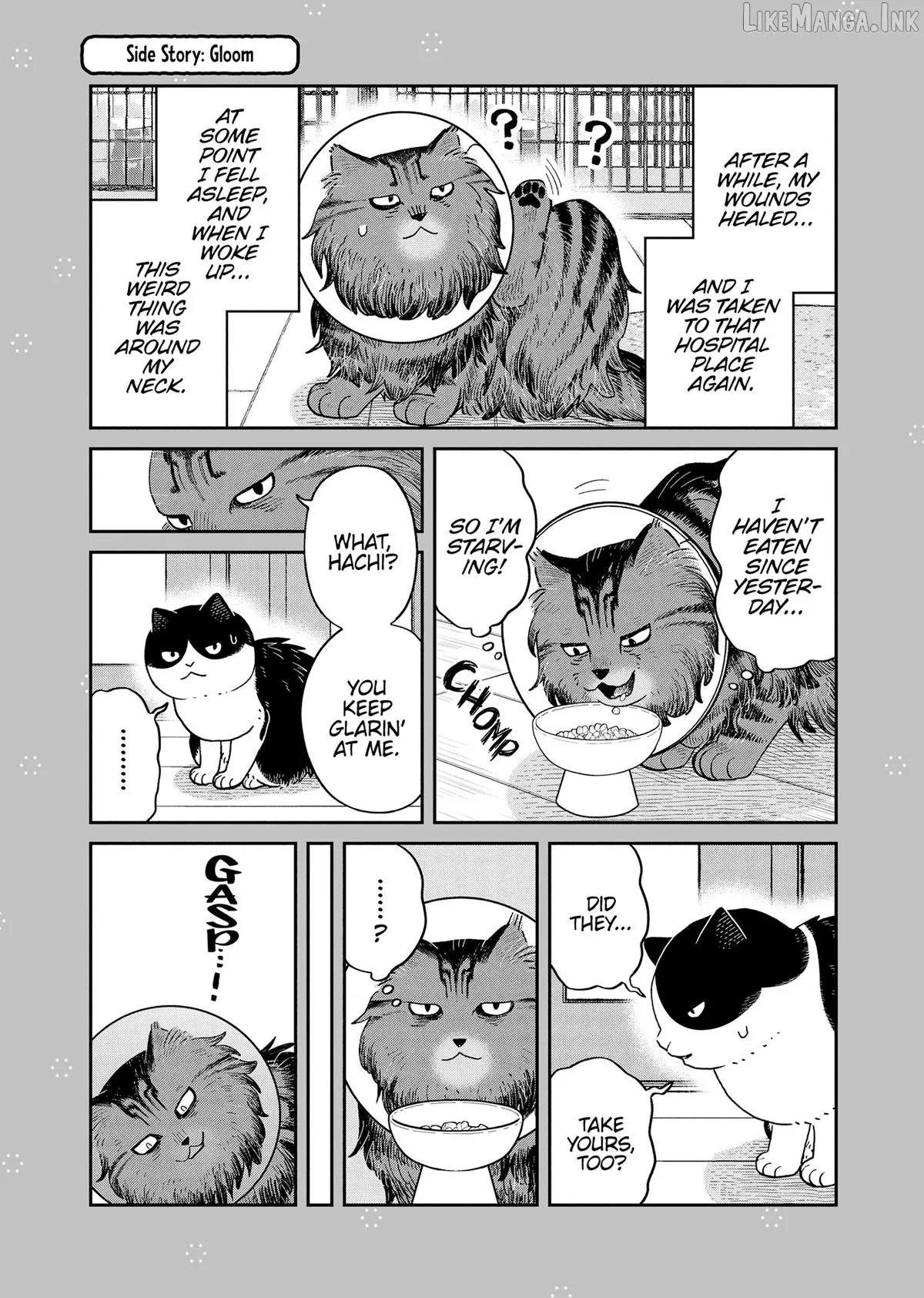 Cat Partners: Maruru And Hachi Chapter 48 page 11 - 