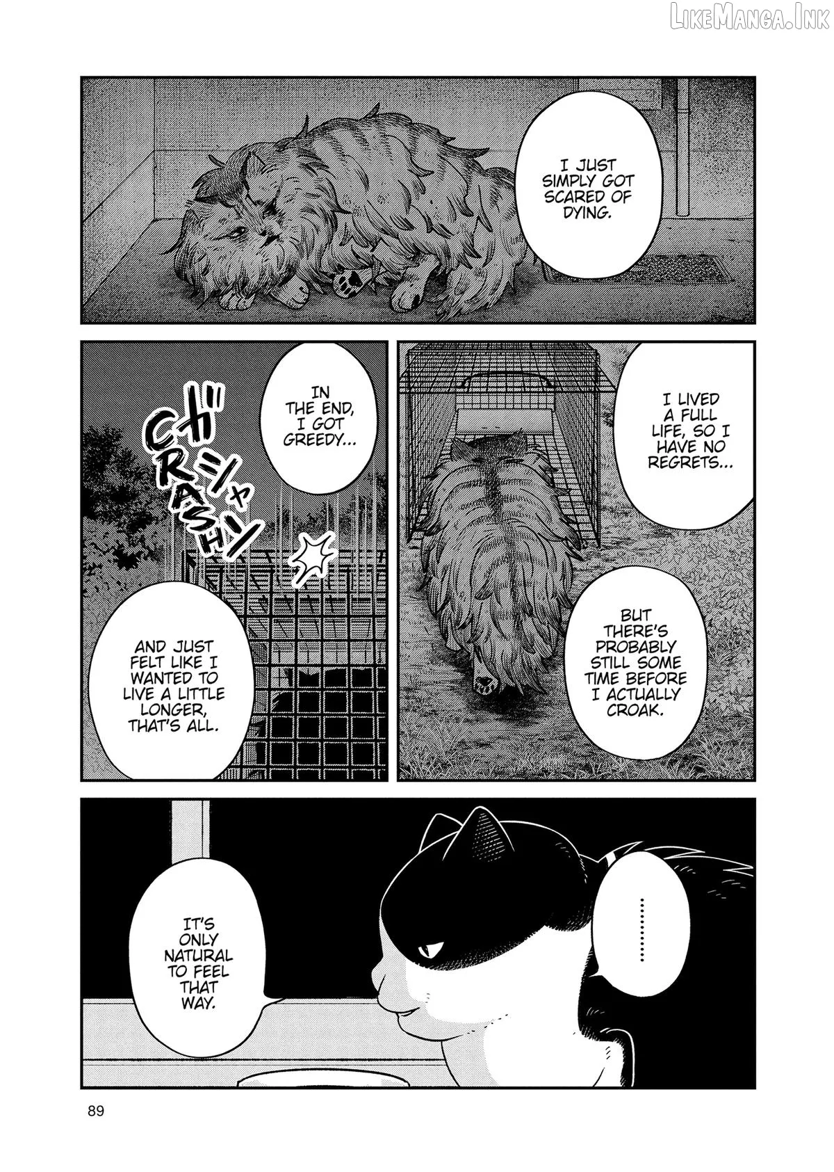 Cat Partners: Maruru And Hachi Chapter 48 page 7 - 