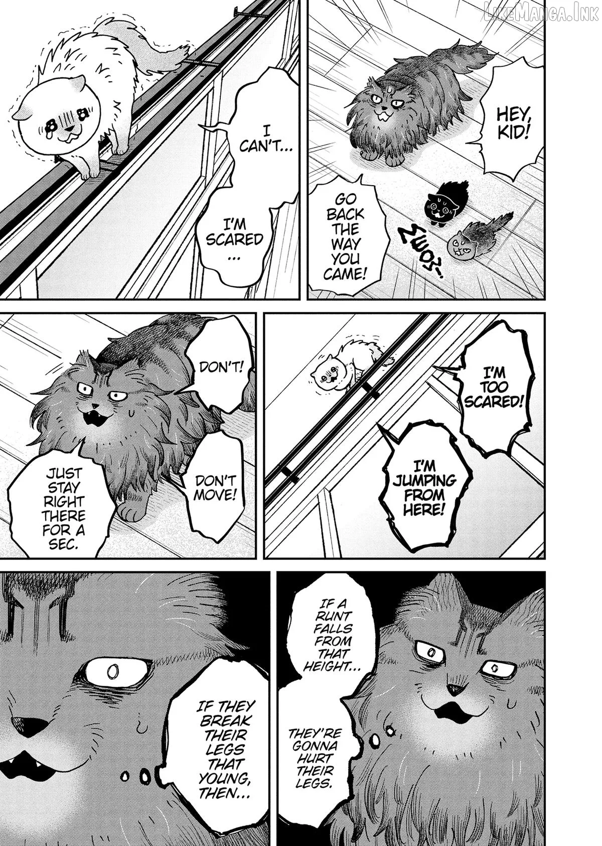 Cat Partners: Maruru And Hachi Chapter 49 page 5 - 