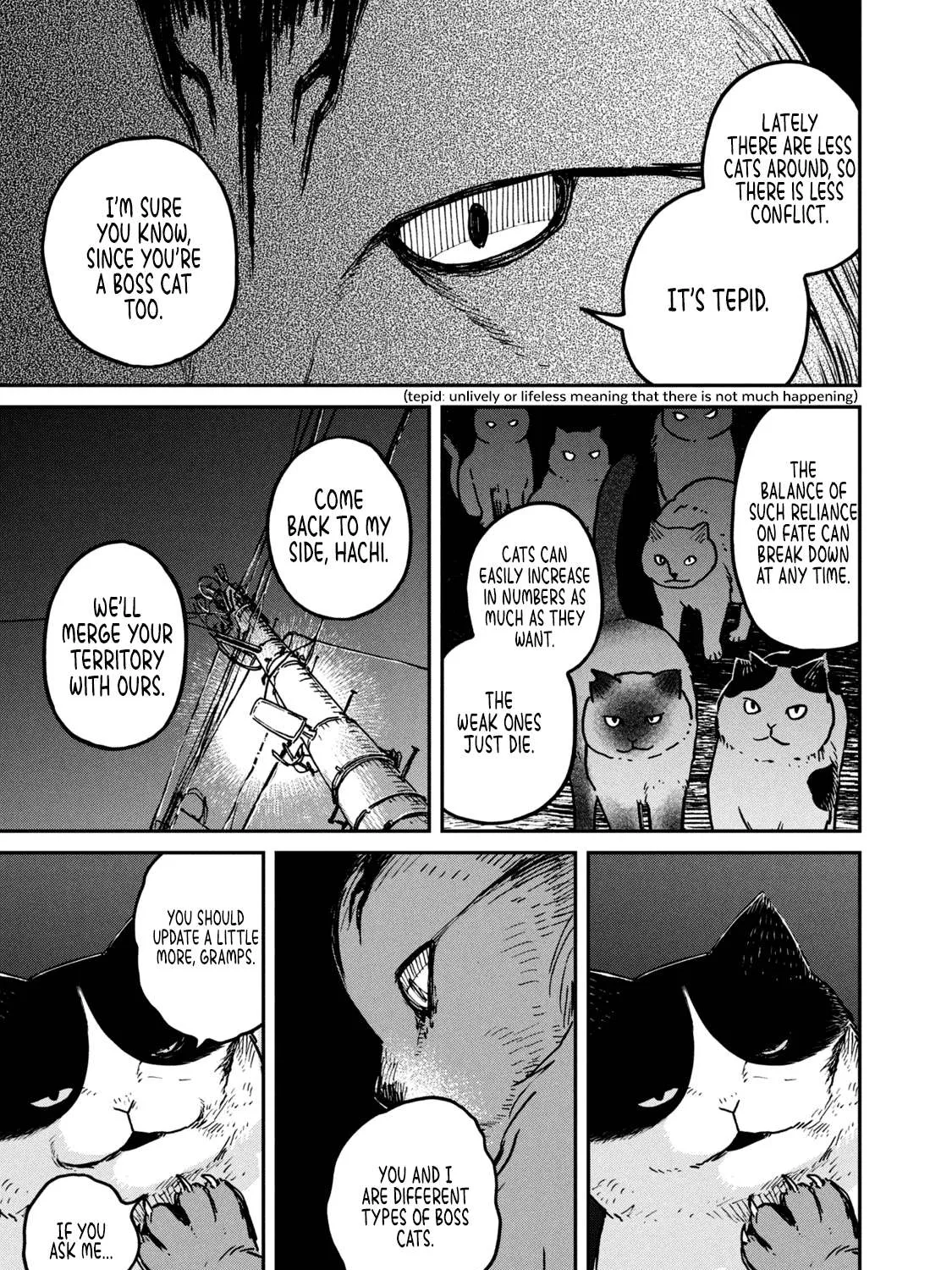 Cat Partners: Maruru And Hachi Chapter 5 page 11 - 
