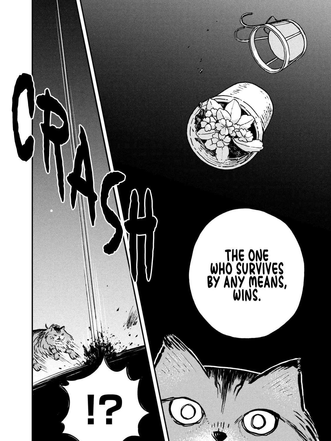 Cat Partners: Maruru And Hachi Chapter 5 page 13 - 