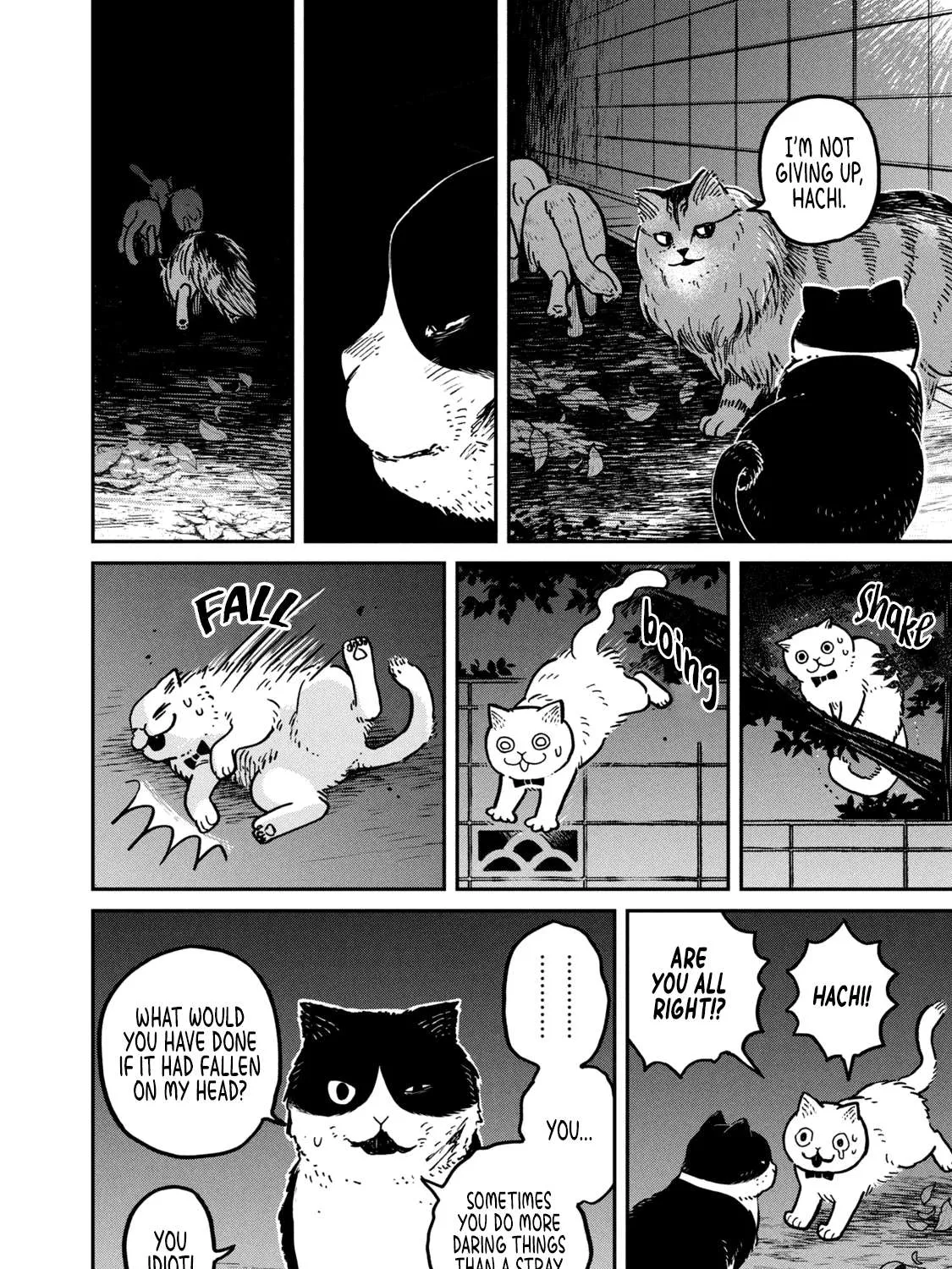 Cat Partners: Maruru And Hachi Chapter 5 page 17 - 
