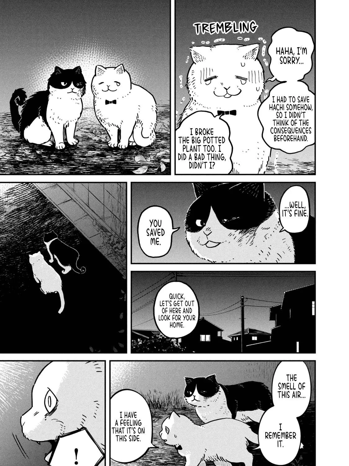 Cat Partners: Maruru And Hachi Chapter 5 page 19 - 