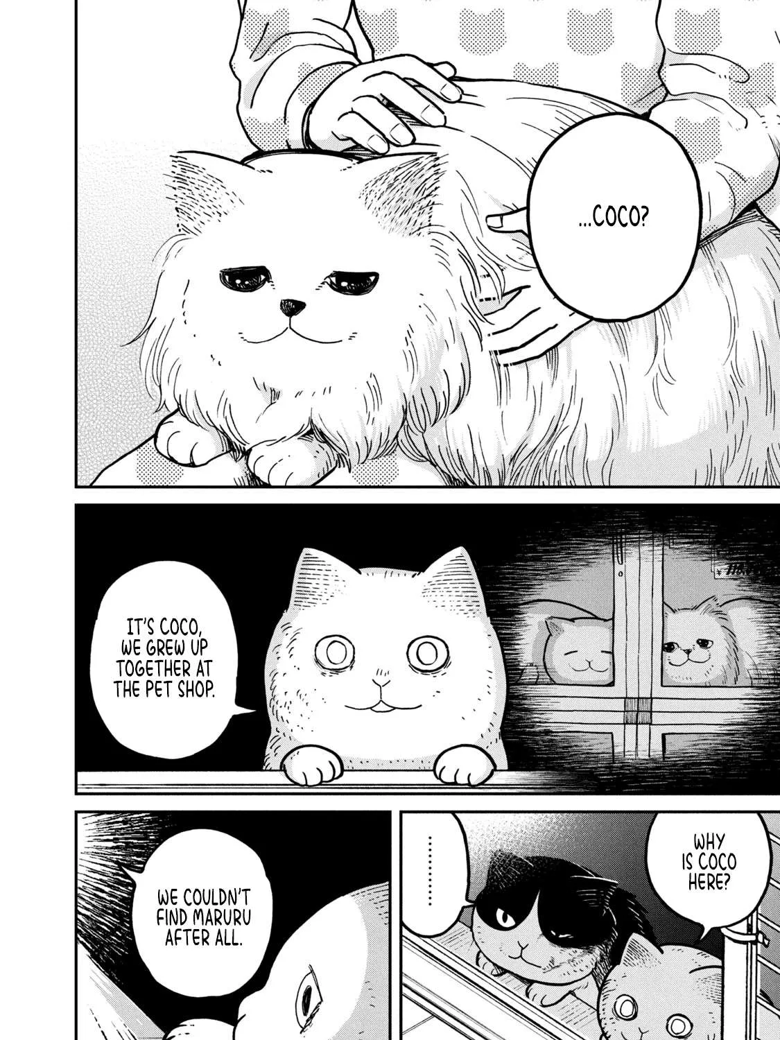 Cat Partners: Maruru And Hachi Chapter 5 page 25 - 