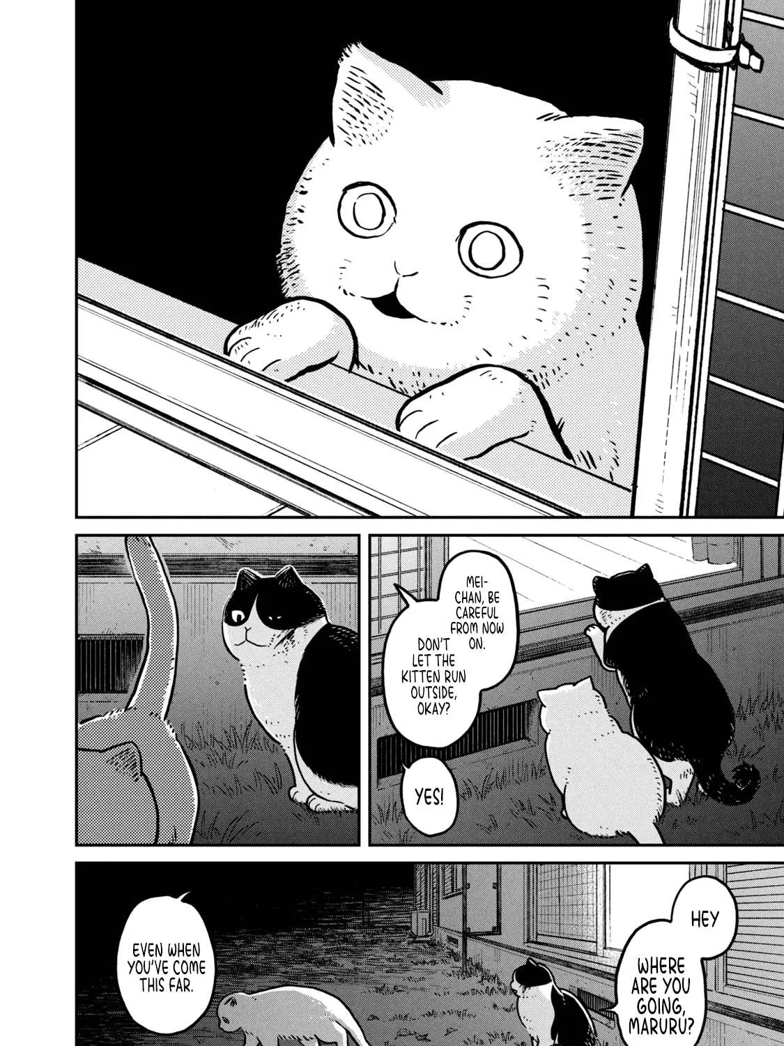 Cat Partners: Maruru And Hachi Chapter 5 page 29 - 