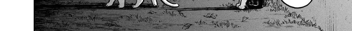 Cat Partners: Maruru And Hachi Chapter 5 page 30 - 