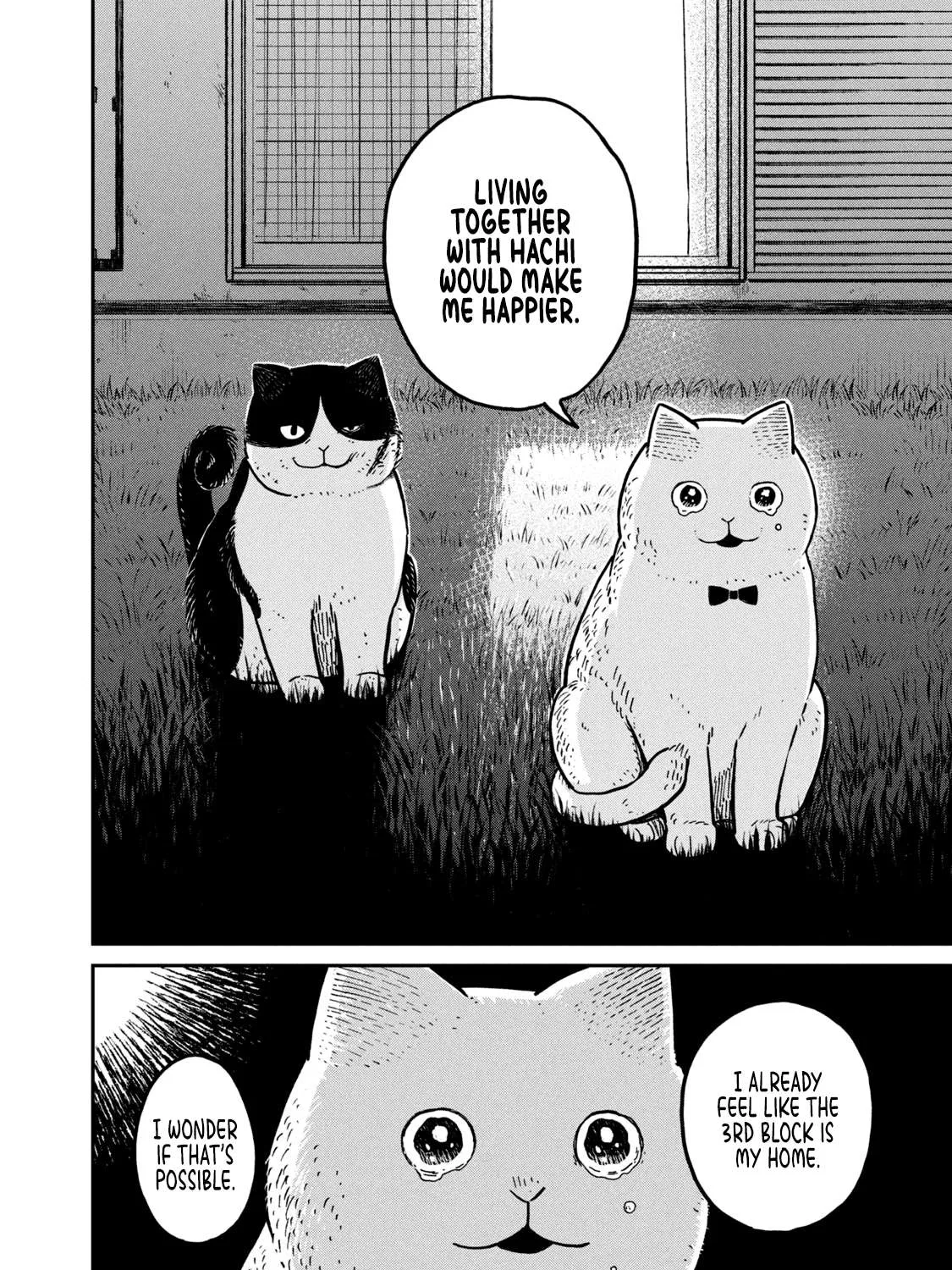 Cat Partners: Maruru And Hachi Chapter 5 page 33 - 
