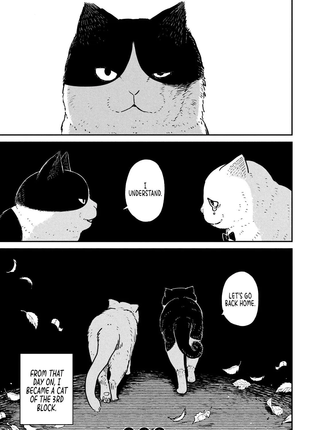 Cat Partners: Maruru And Hachi Chapter 5 page 35 - 