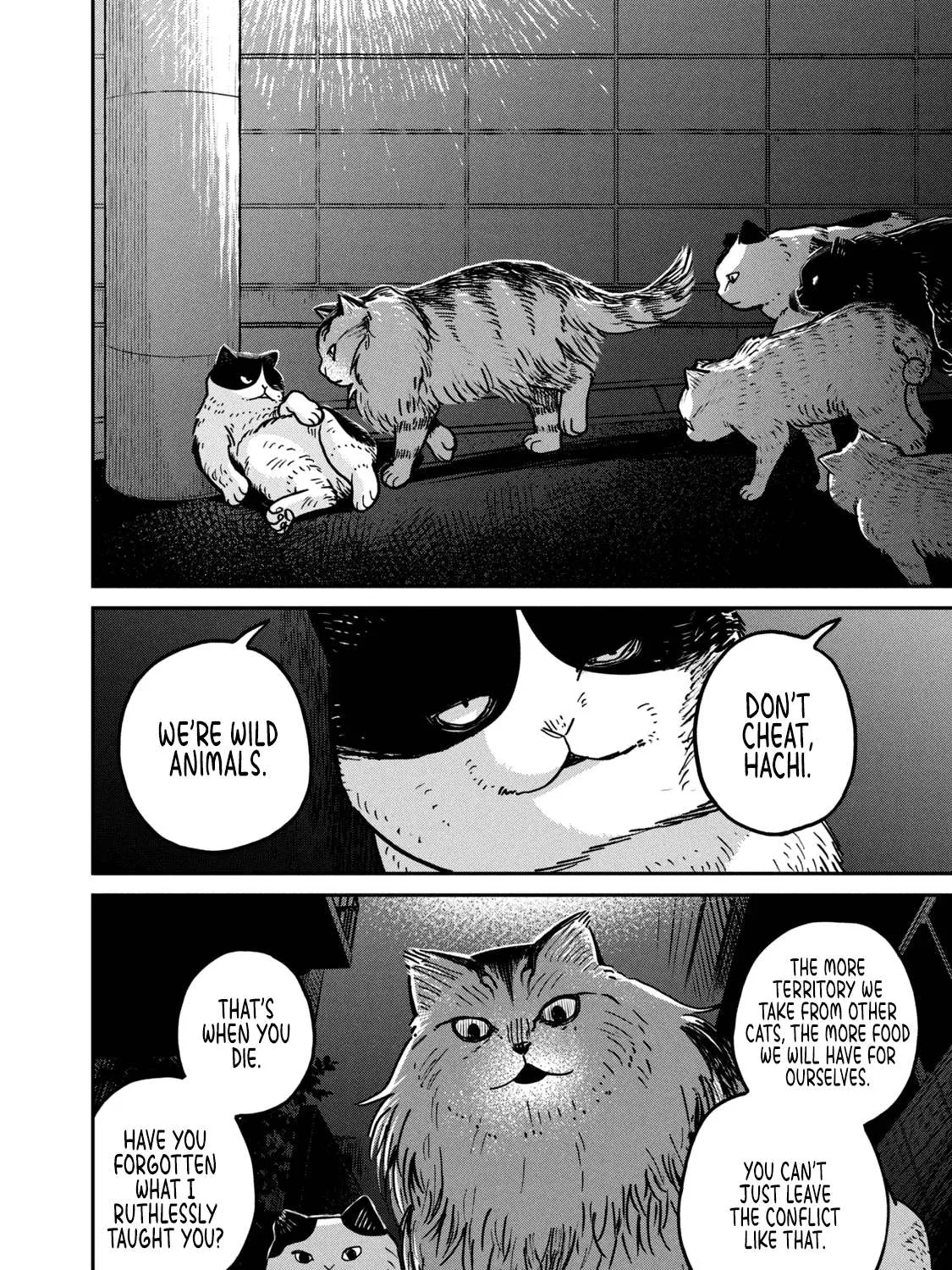 Cat Partners: Maruru And Hachi Chapter 5 page 9 - 