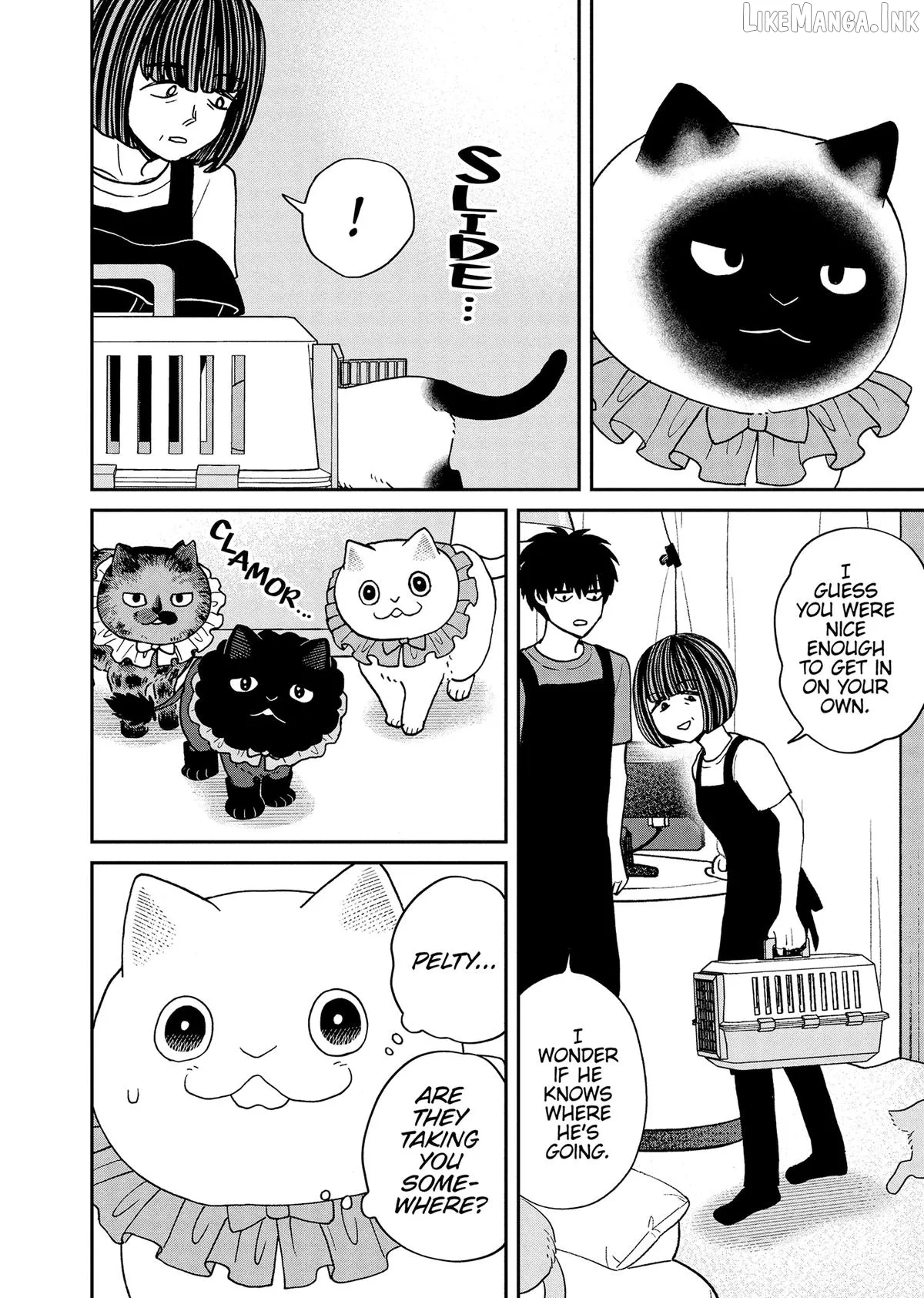 Cat Partners: Maruru And Hachi Chapter 50 page 2 - 