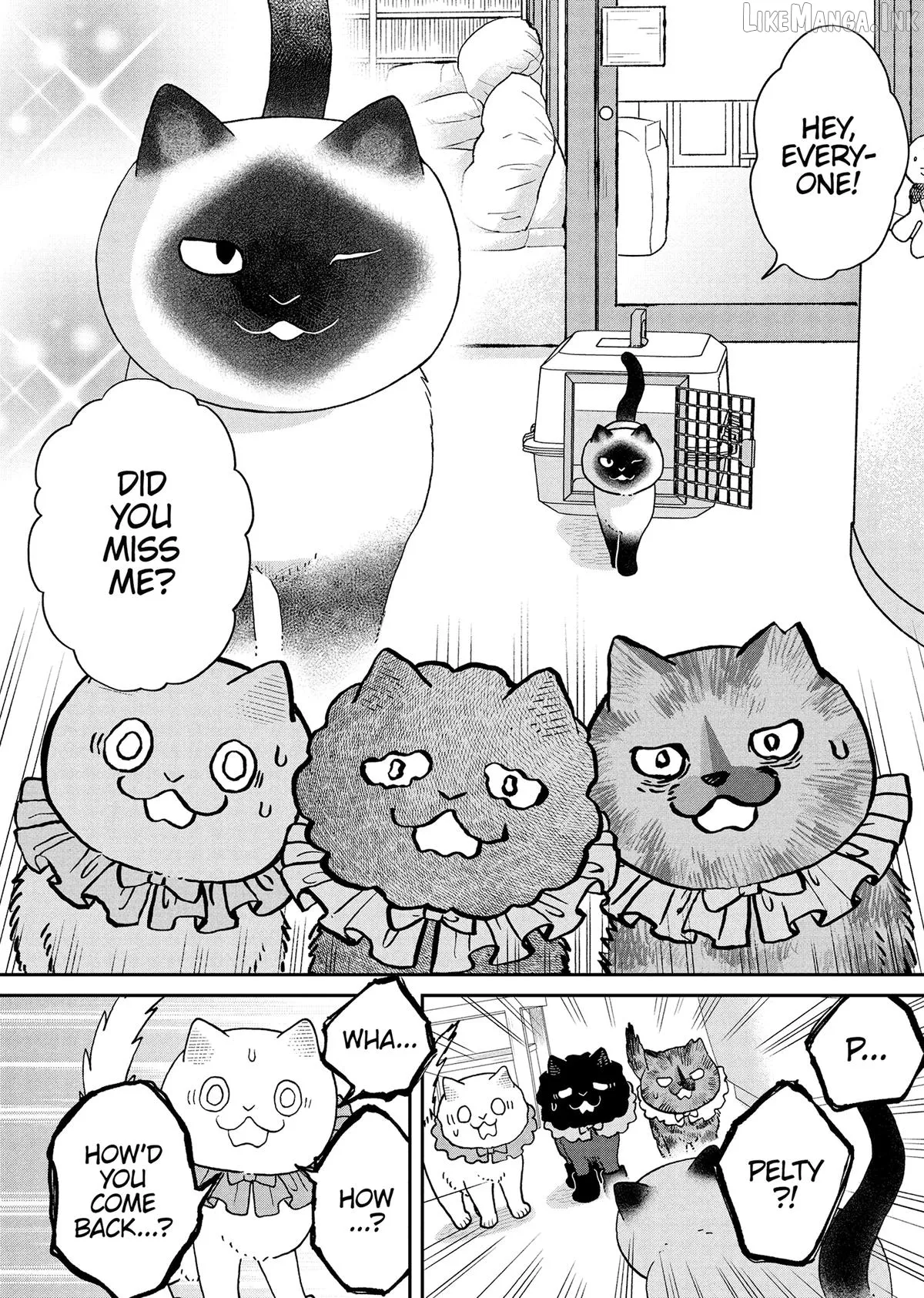 Cat Partners: Maruru And Hachi Chapter 50 page 12 - 