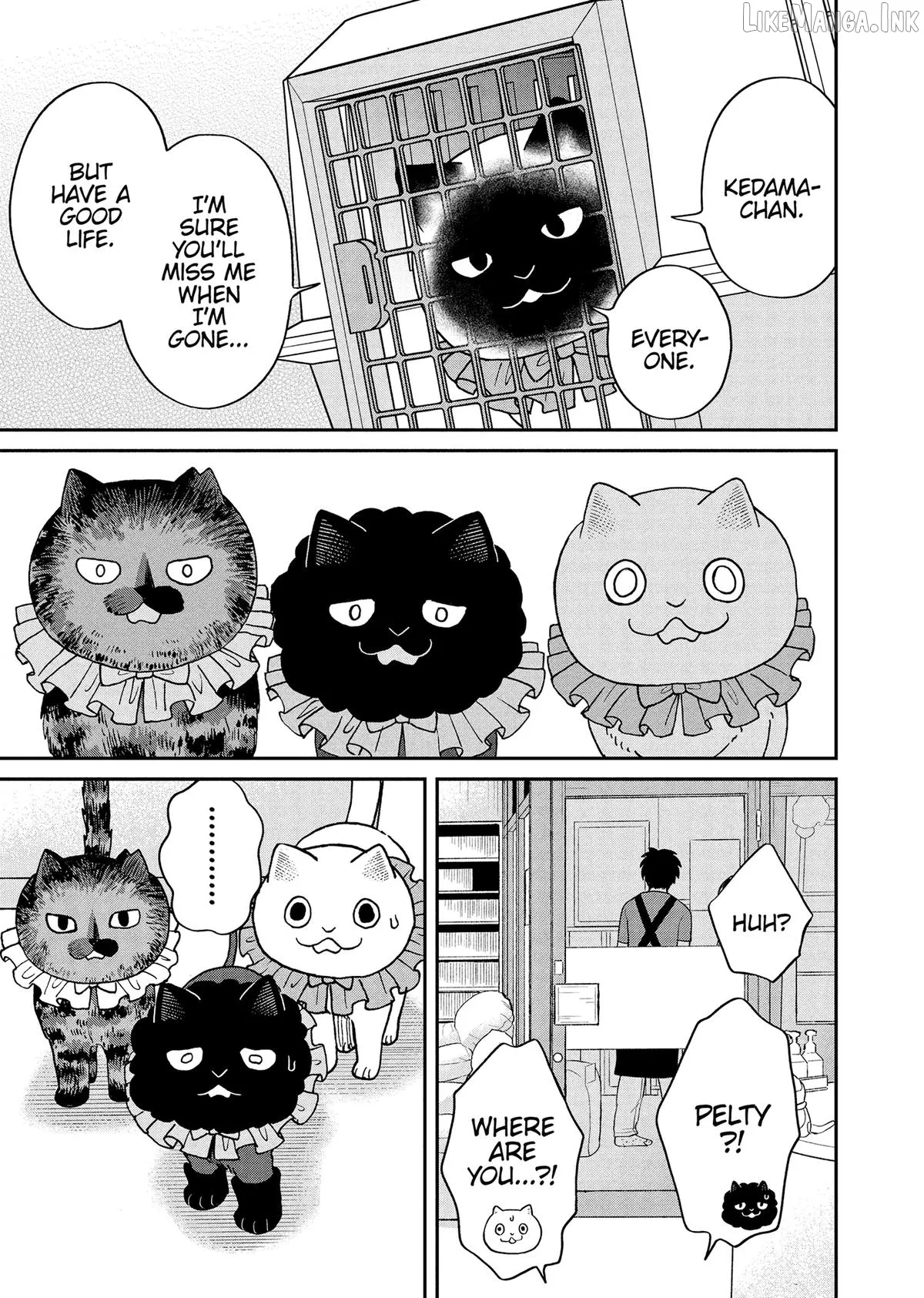 Cat Partners: Maruru And Hachi Chapter 50 page 3 - 