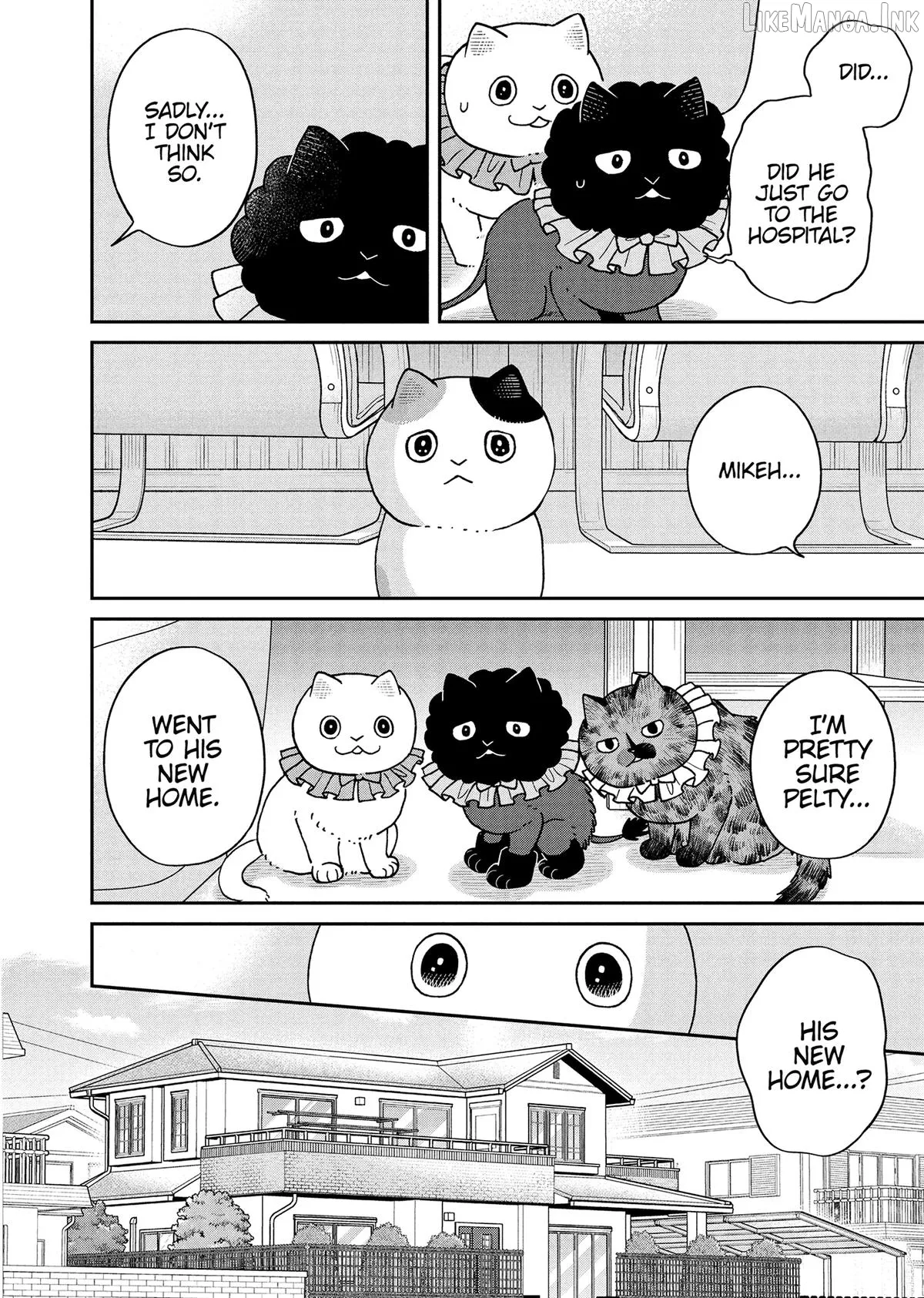 Cat Partners: Maruru And Hachi Chapter 50 page 4 - 