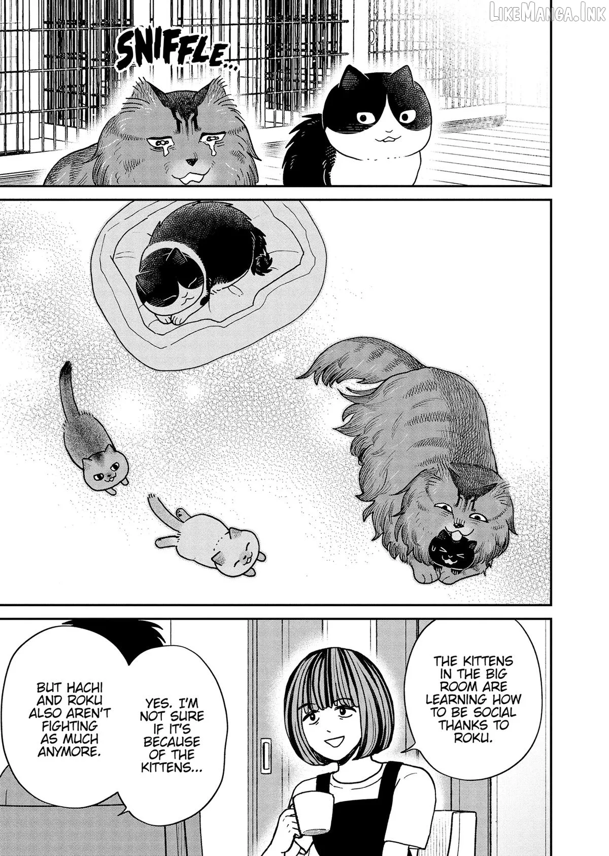 Cat Partners: Maruru And Hachi Chapter 51 page 11 - 