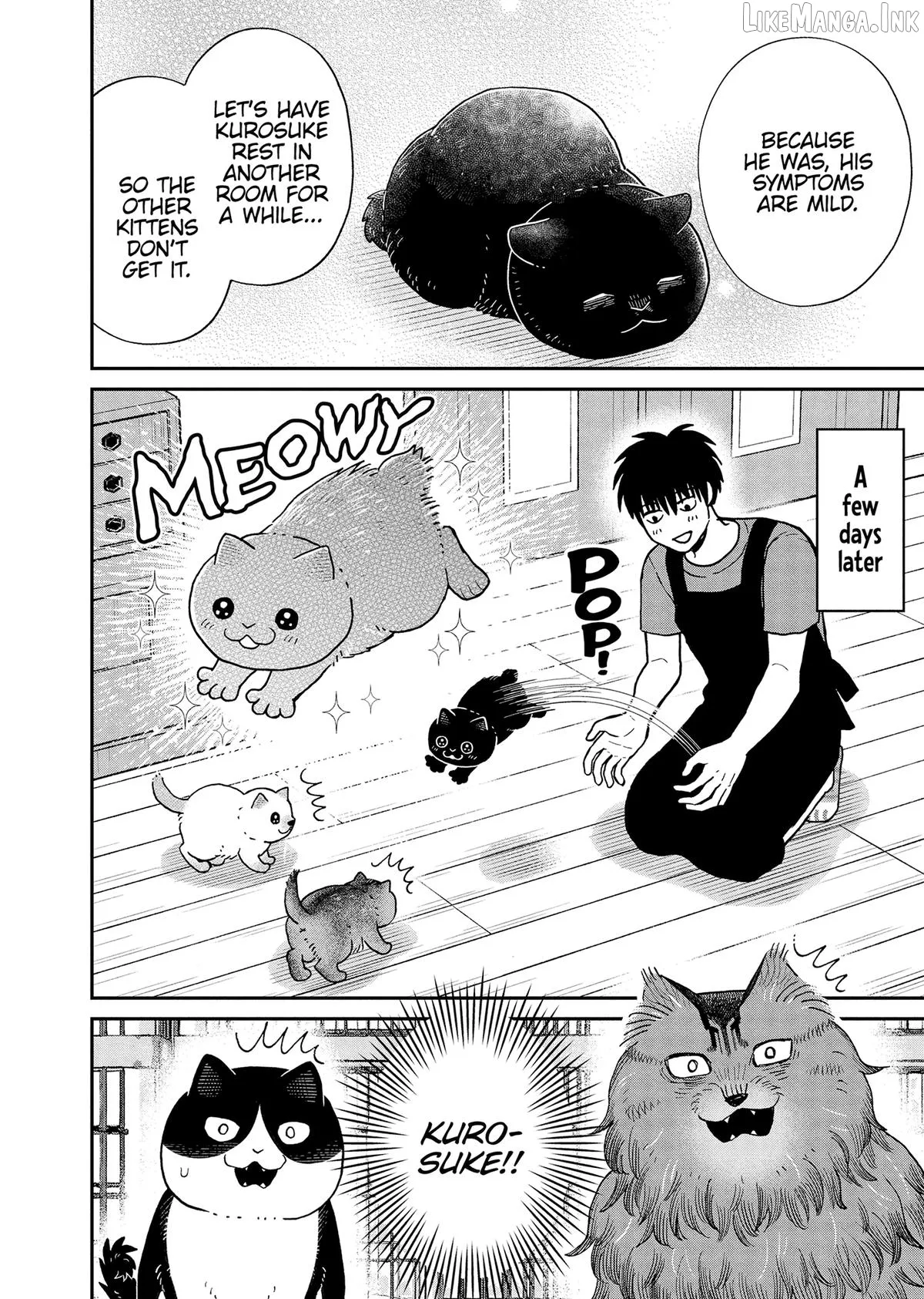 Cat Partners: Maruru And Hachi Chapter 51 page 8 - 