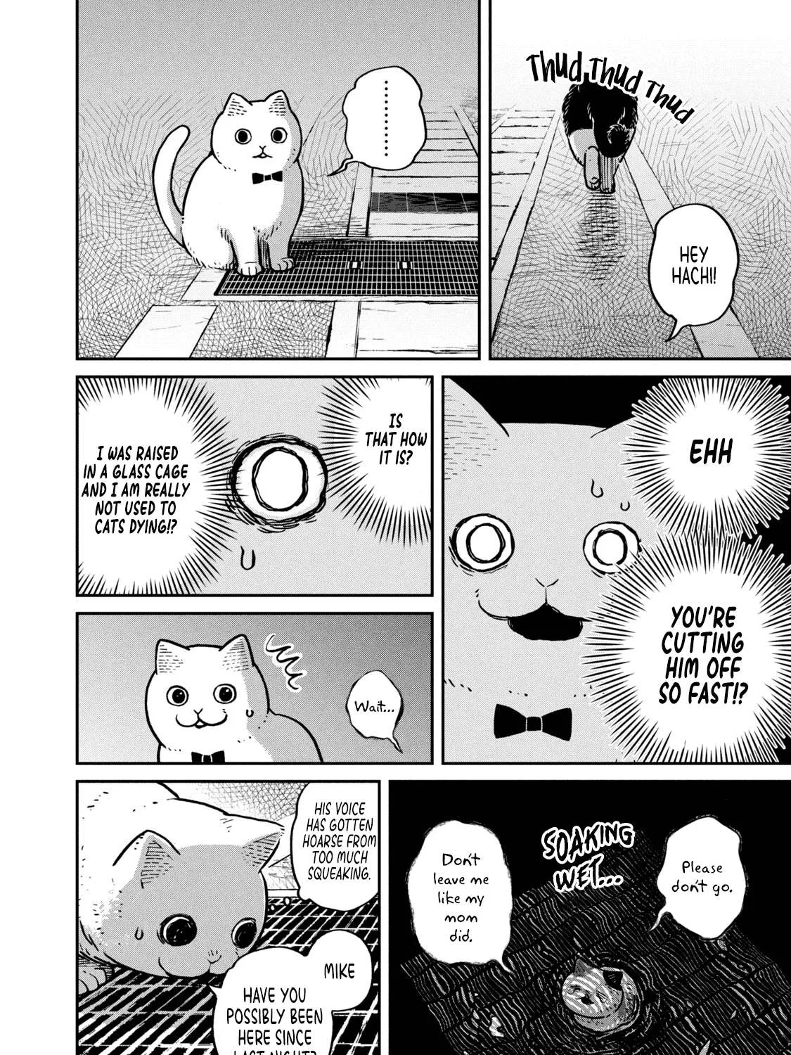 Cat Partners: Maruru And Hachi Chapter 6 page 17 - 