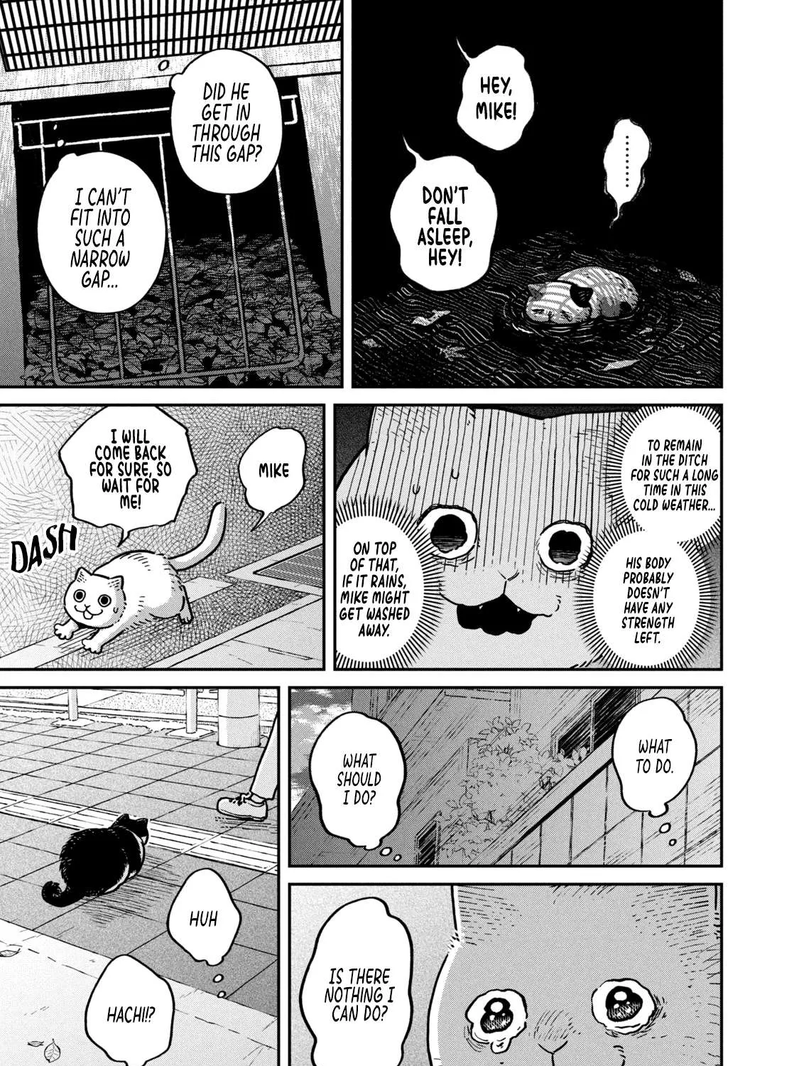 Cat Partners: Maruru And Hachi Chapter 6 page 19 - 