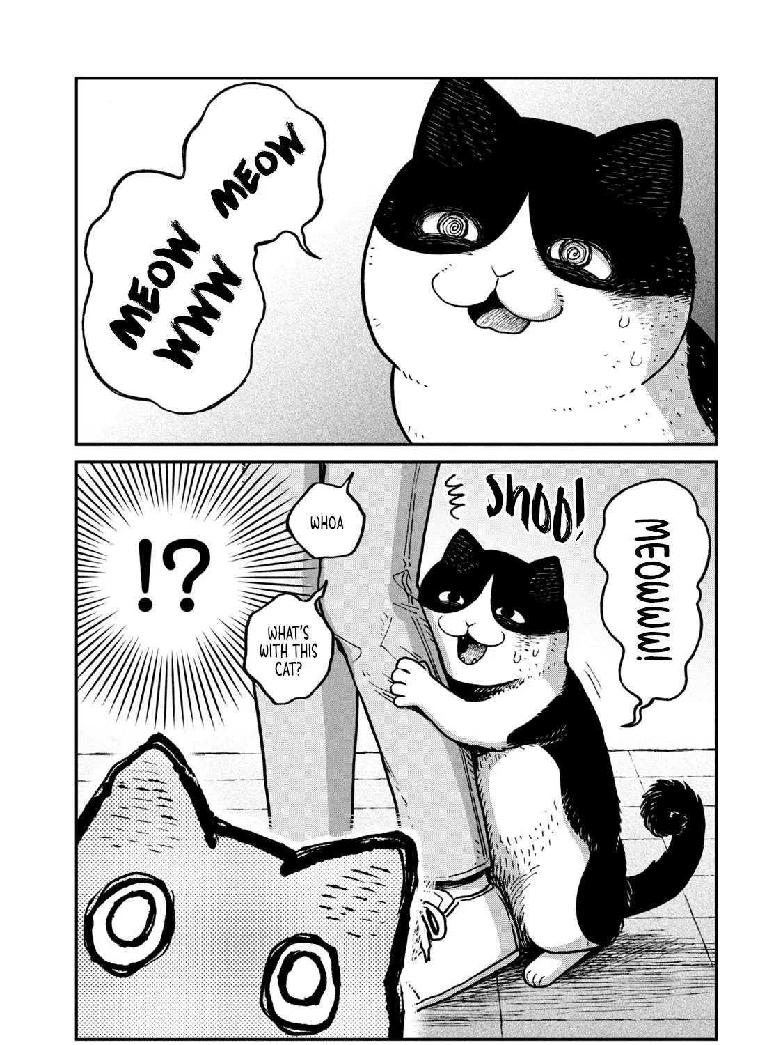 Cat Partners: Maruru And Hachi Chapter 6 page 21 - 