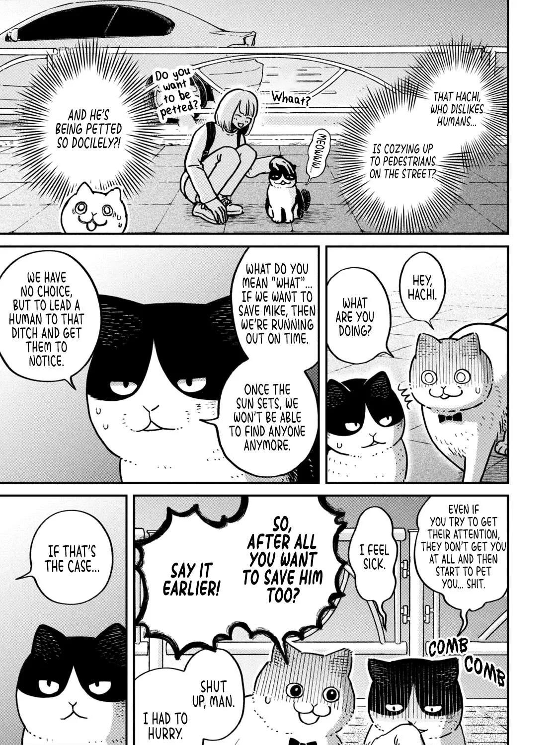 Cat Partners: Maruru And Hachi Chapter 6 page 23 - 