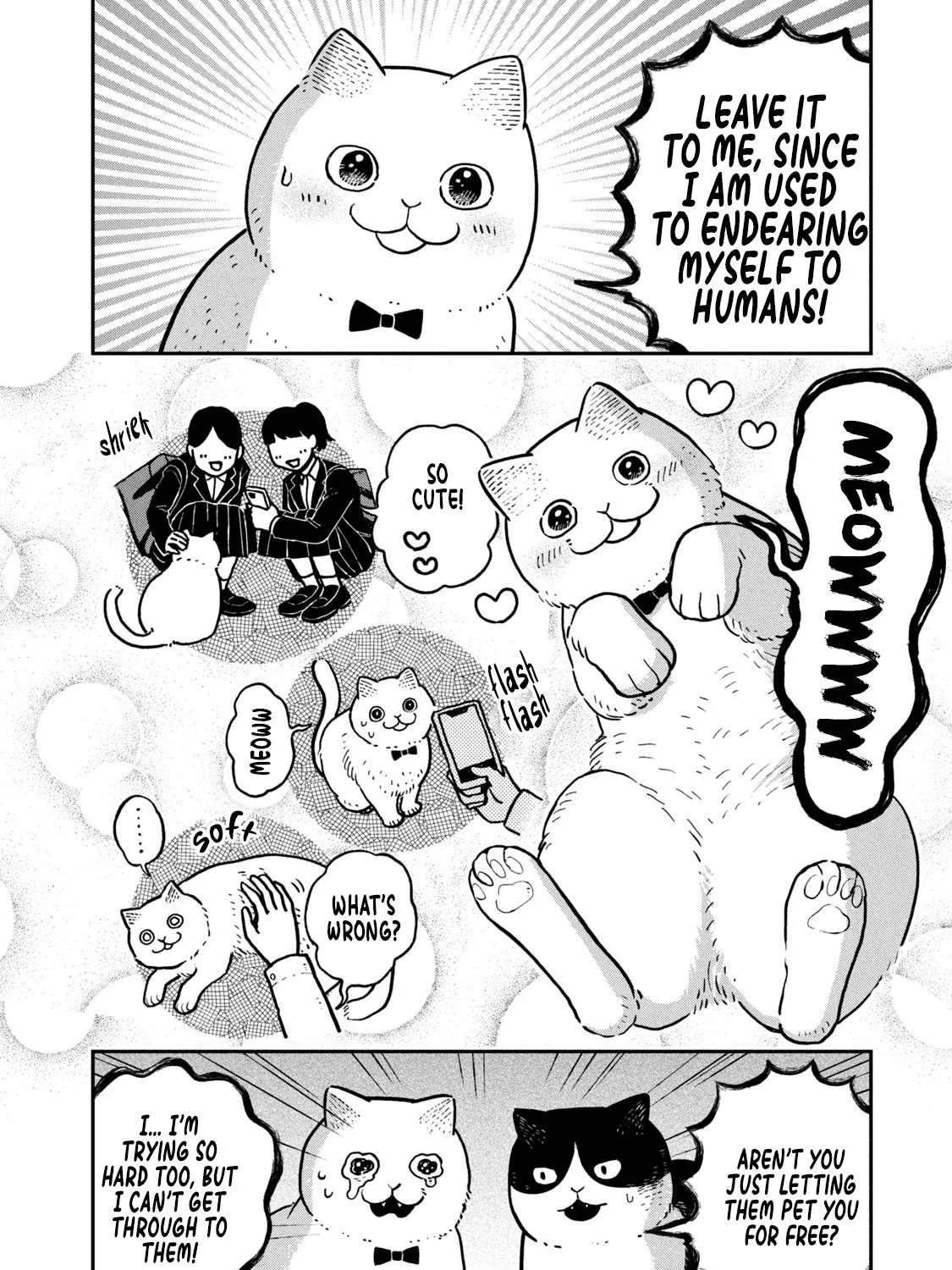 Cat Partners: Maruru And Hachi Chapter 6 page 25 - 