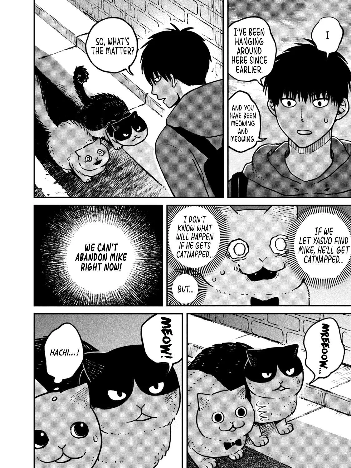 Cat Partners: Maruru And Hachi Chapter 6 page 29 - 