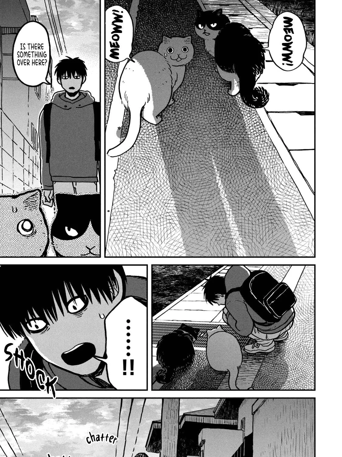 Cat Partners: Maruru And Hachi Chapter 6 page 31 - 