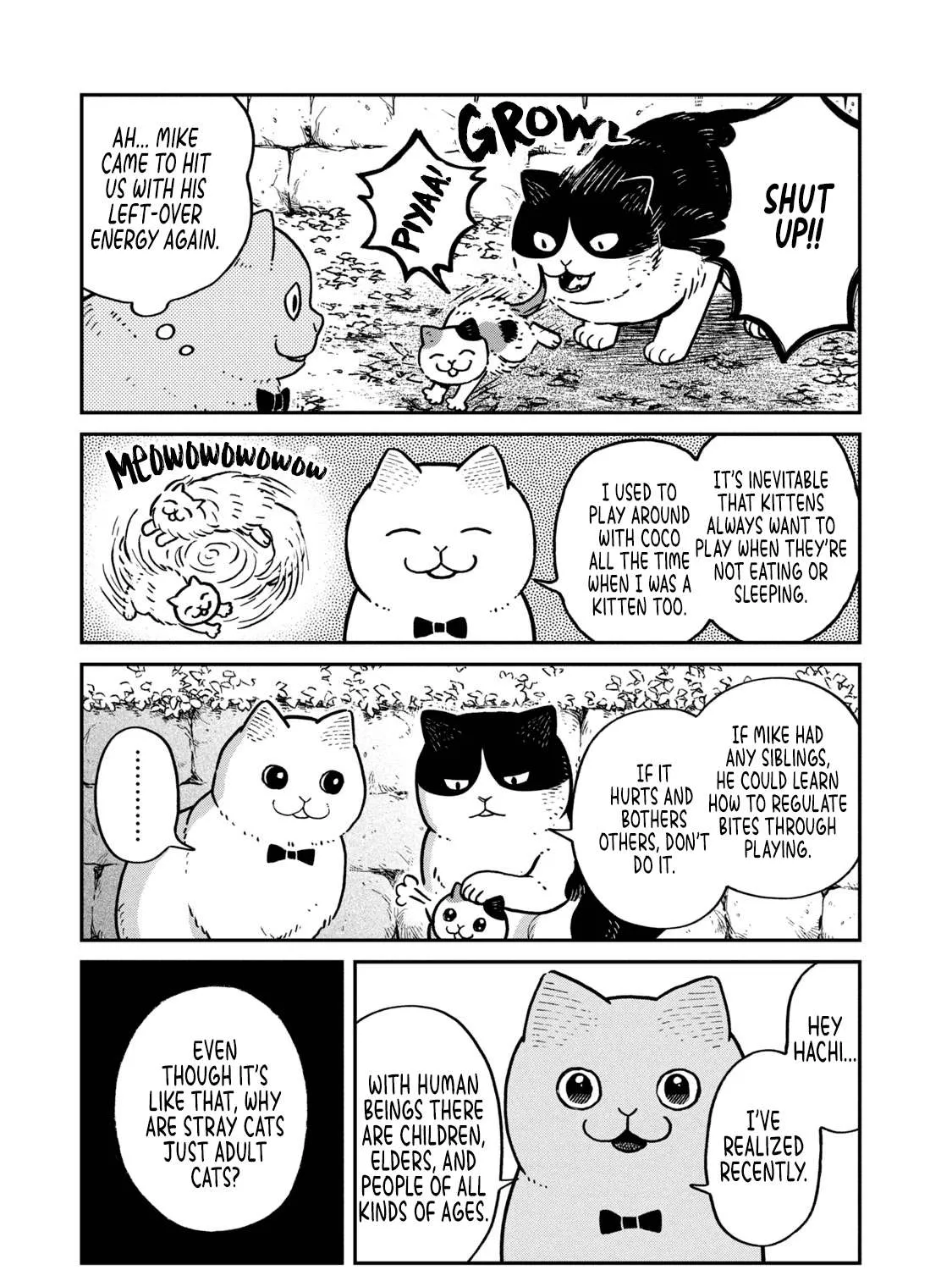 Cat Partners: Maruru And Hachi Chapter 6 page 7 - 