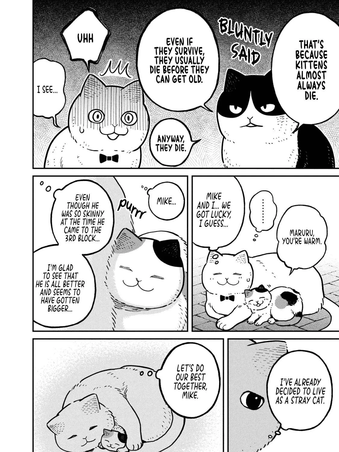 Cat Partners: Maruru And Hachi Chapter 6 page 9 - 