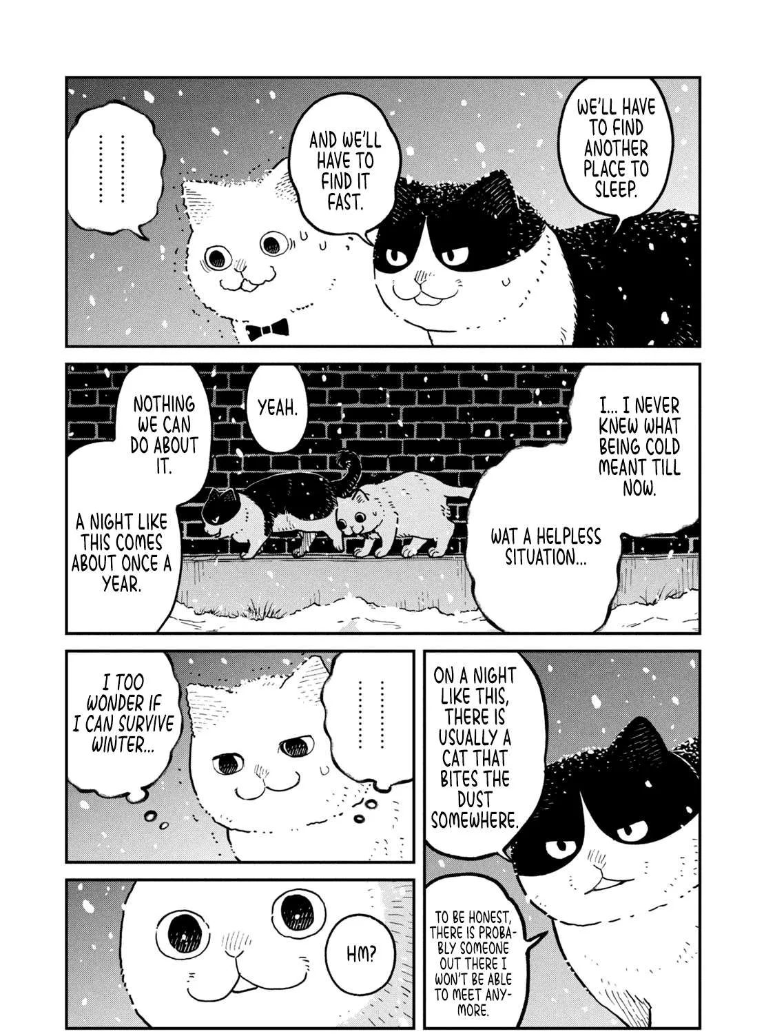 Cat Partners: Maruru And Hachi Chapter 7 page 18 - 