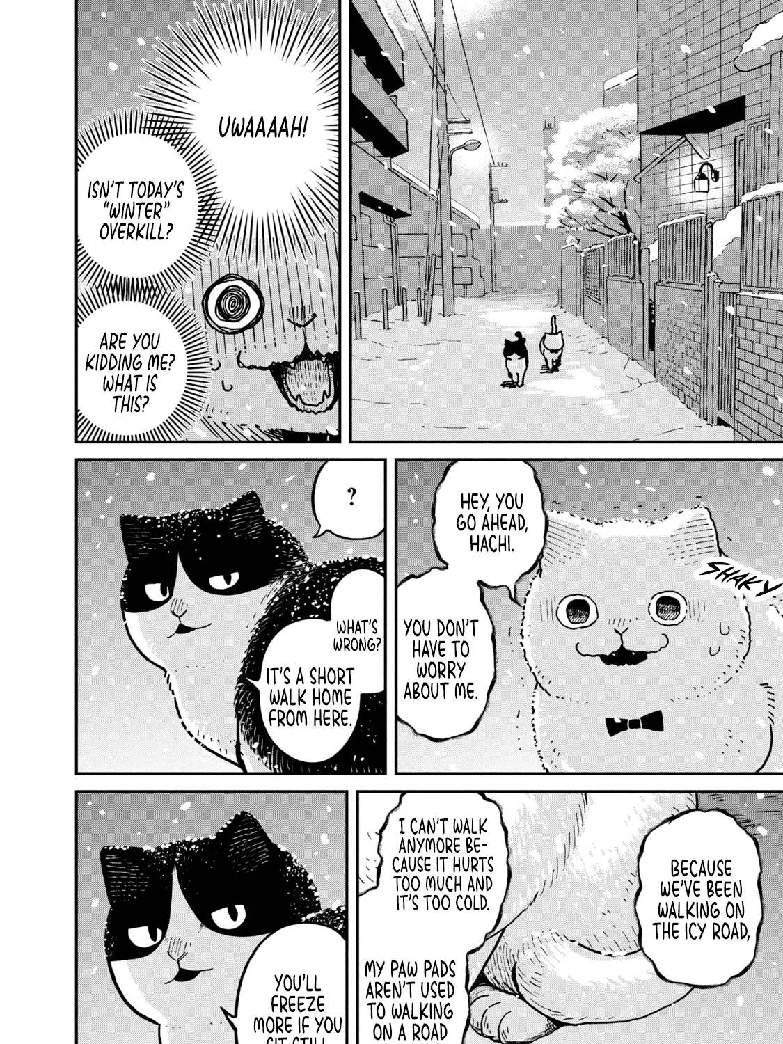 Cat Partners: Maruru And Hachi Chapter 7 page 4 - 
