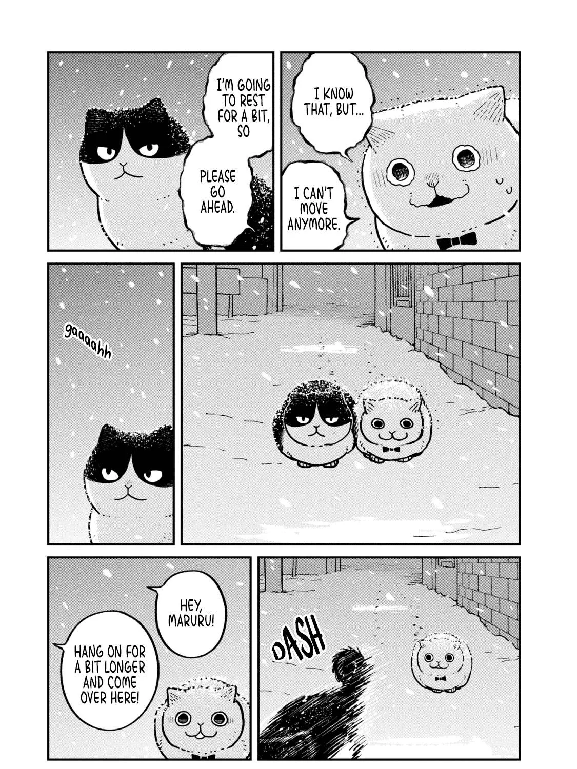 Cat Partners: Maruru And Hachi Chapter 7 page 6 - 