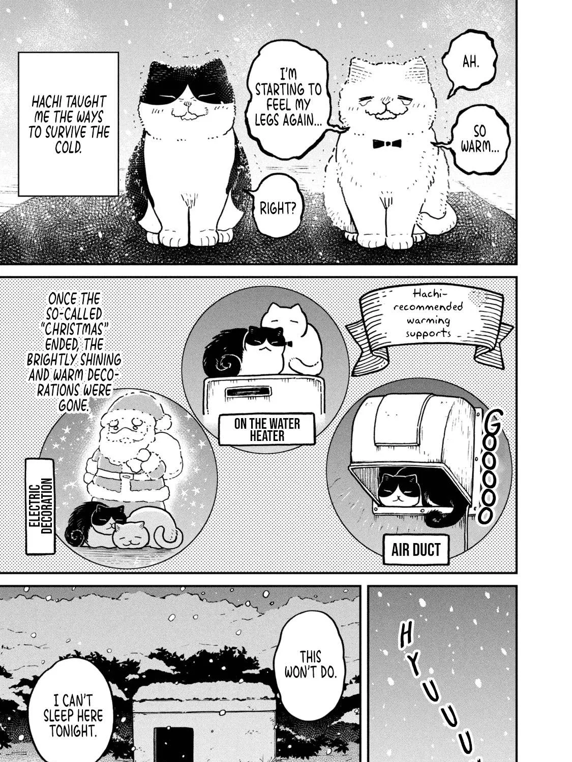 Cat Partners: Maruru And Hachi Chapter 7 page 10 - 