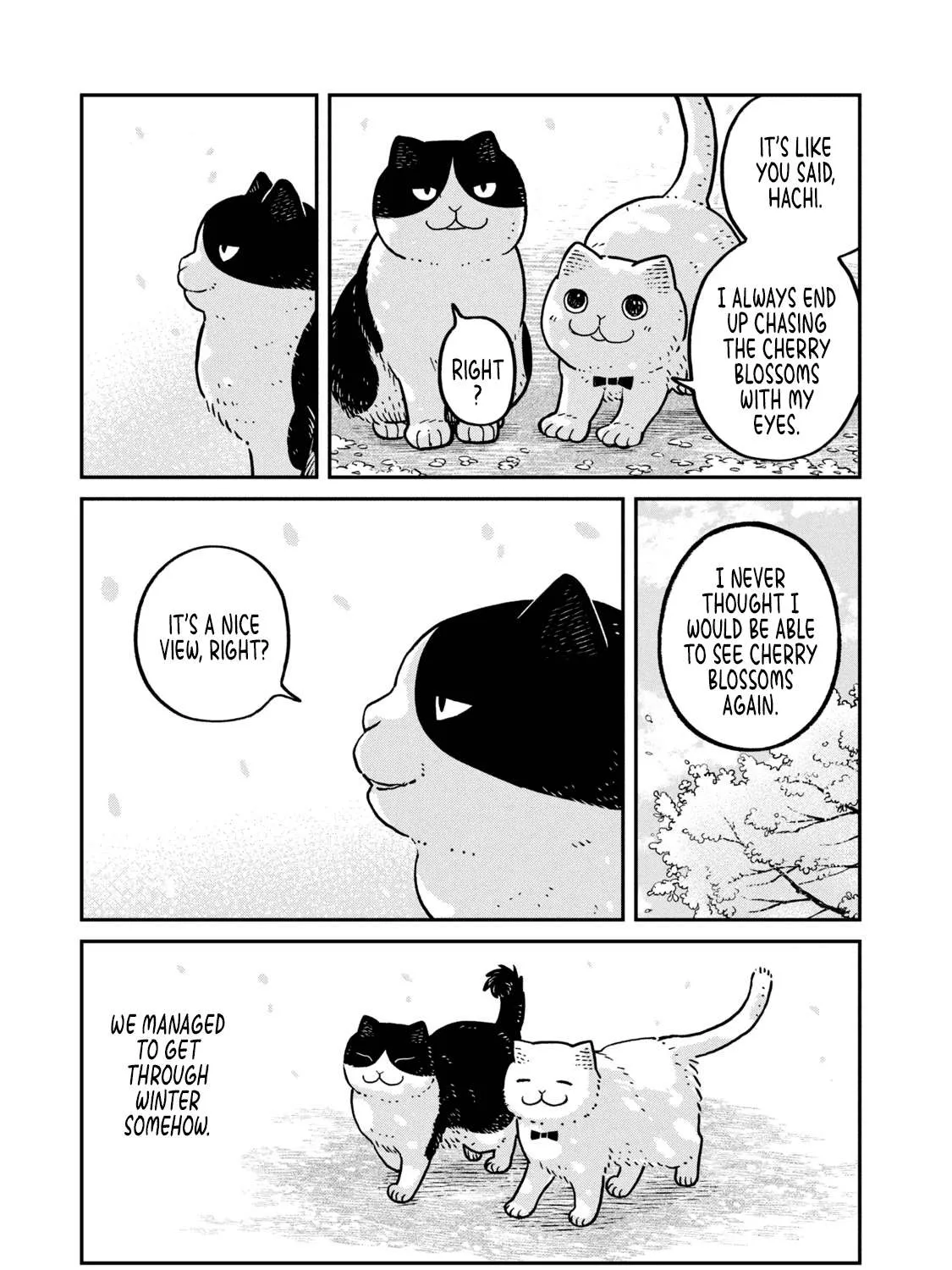 Cat Partners: Maruru And Hachi Chapter 8 page 11 - 