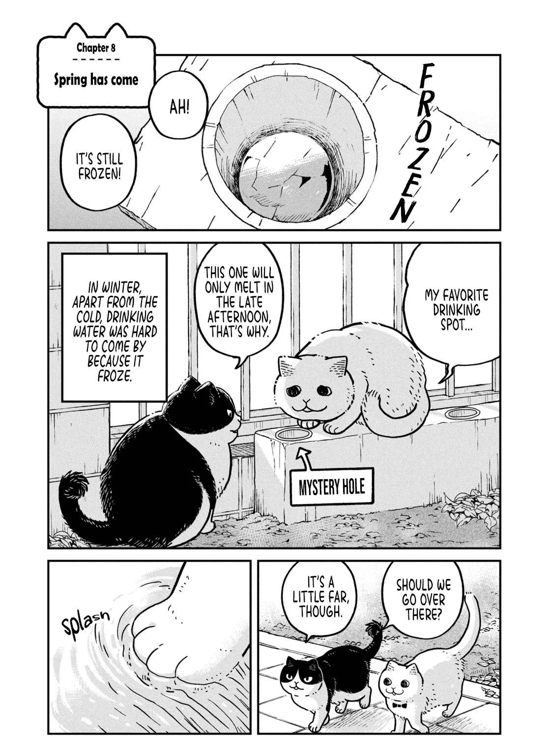 Cat Partners: Maruru And Hachi Chapter 8 page 3 - 