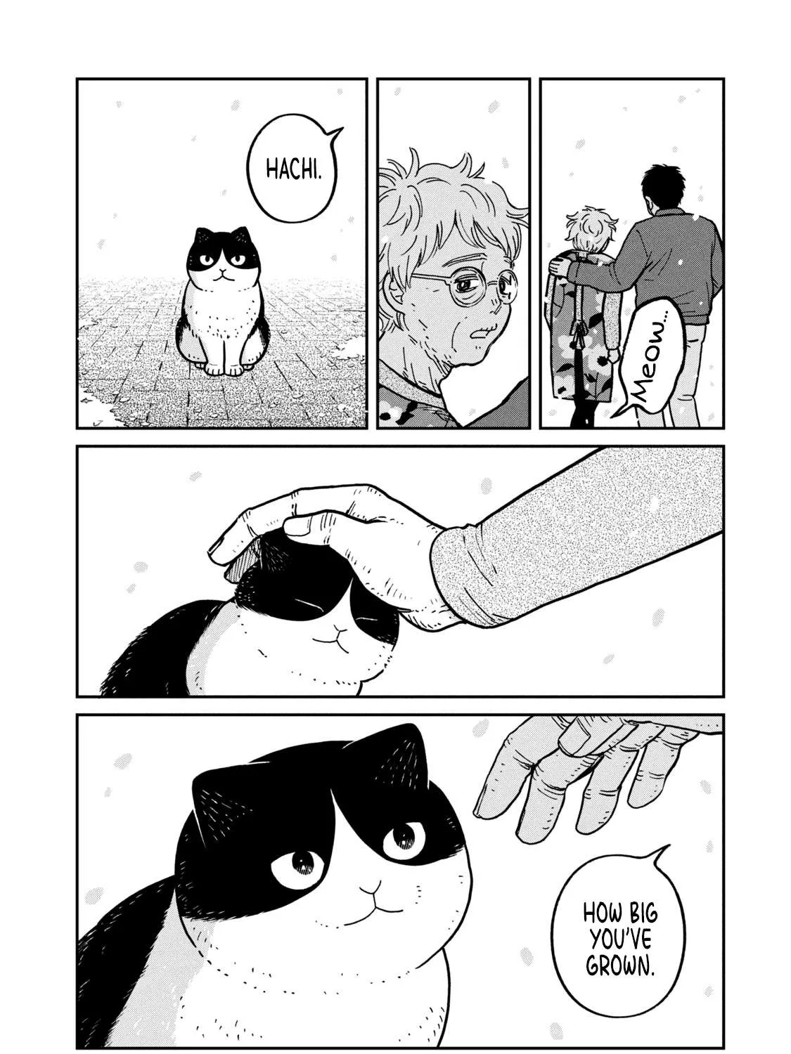 Cat Partners: Maruru And Hachi Chapter 8 page 21 - 