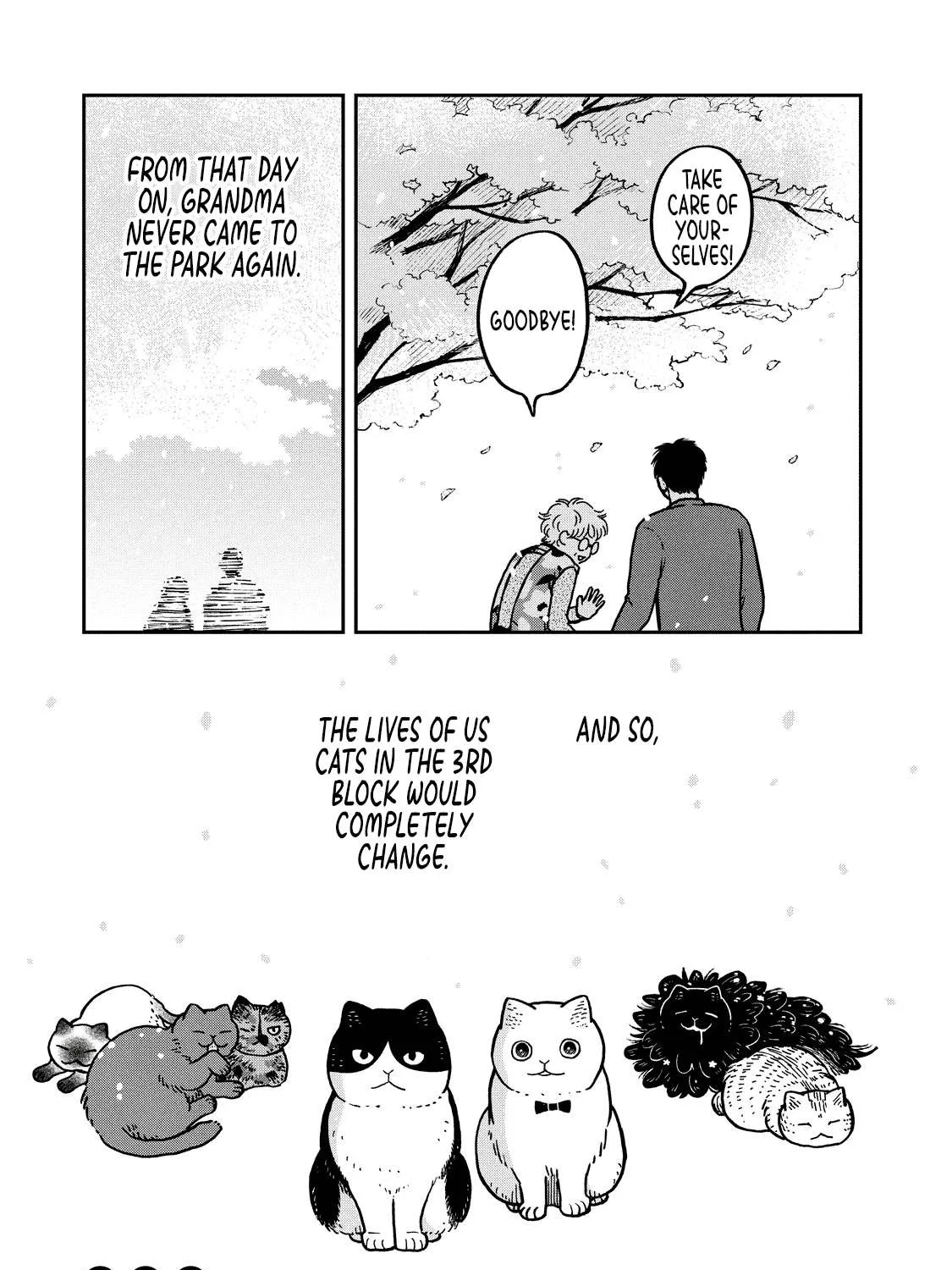 Cat Partners: Maruru And Hachi Chapter 8 page 23 - 